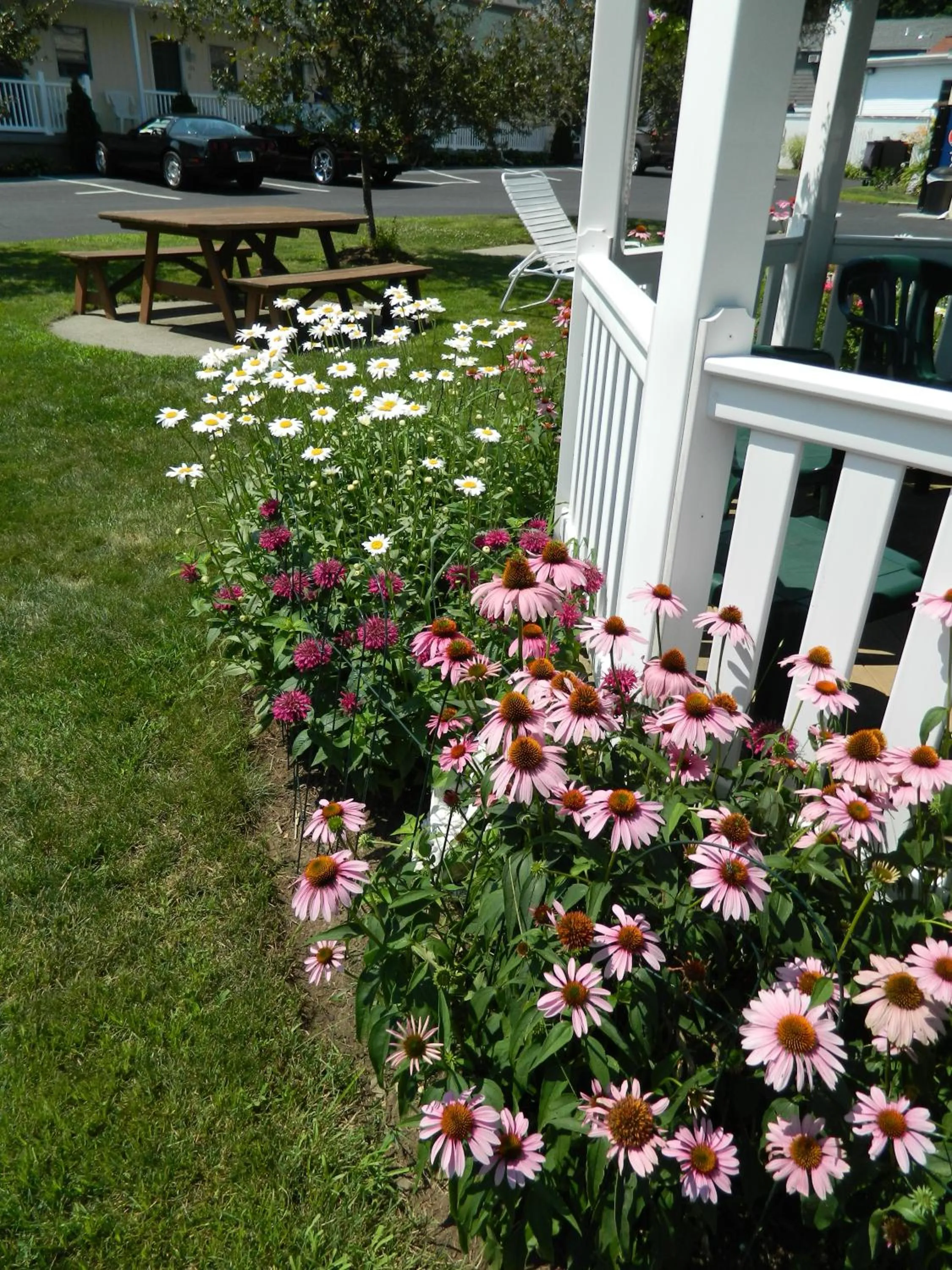 Garden in The Heritage of Lake George