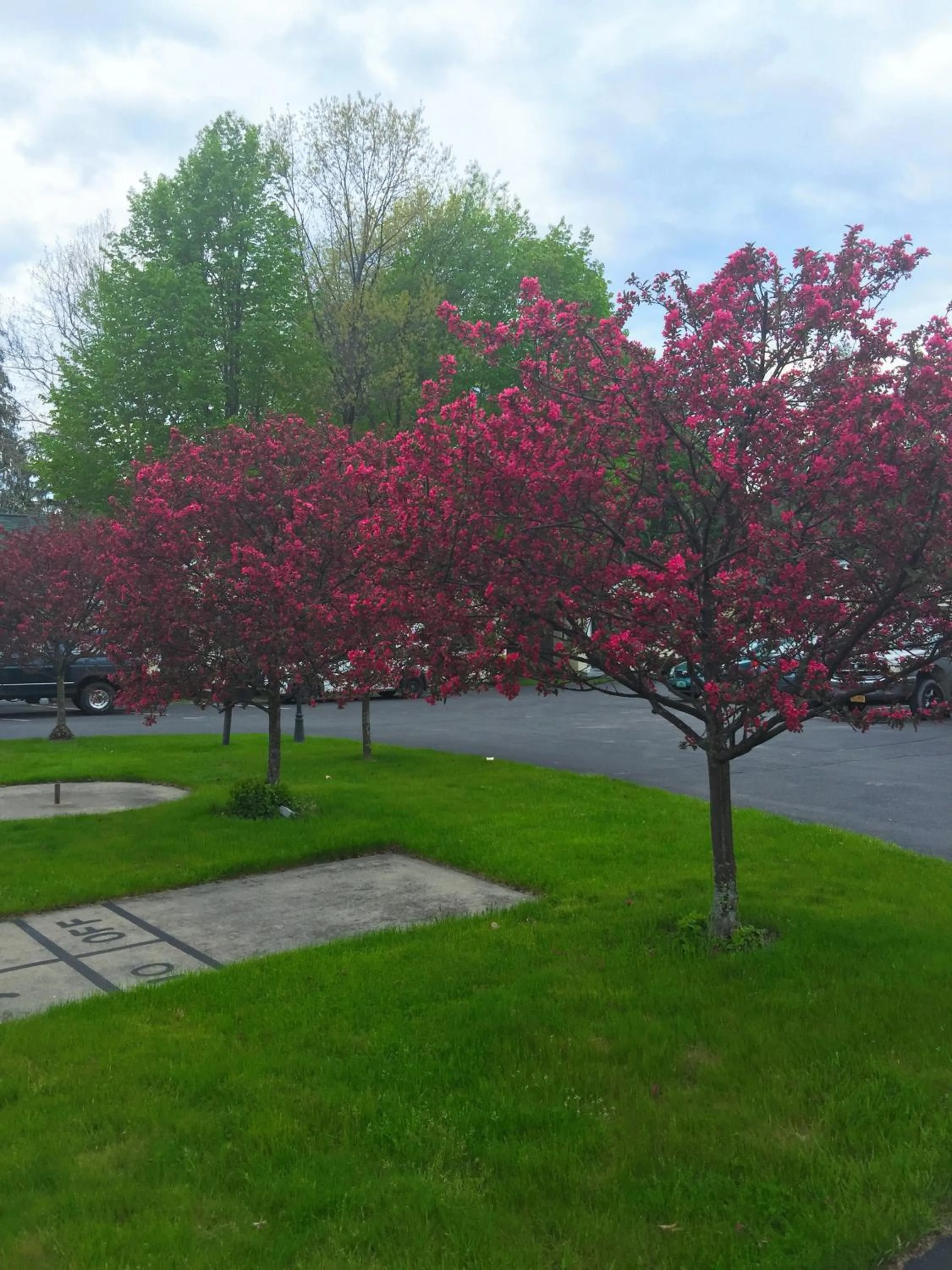 Garden in The Heritage of Lake George