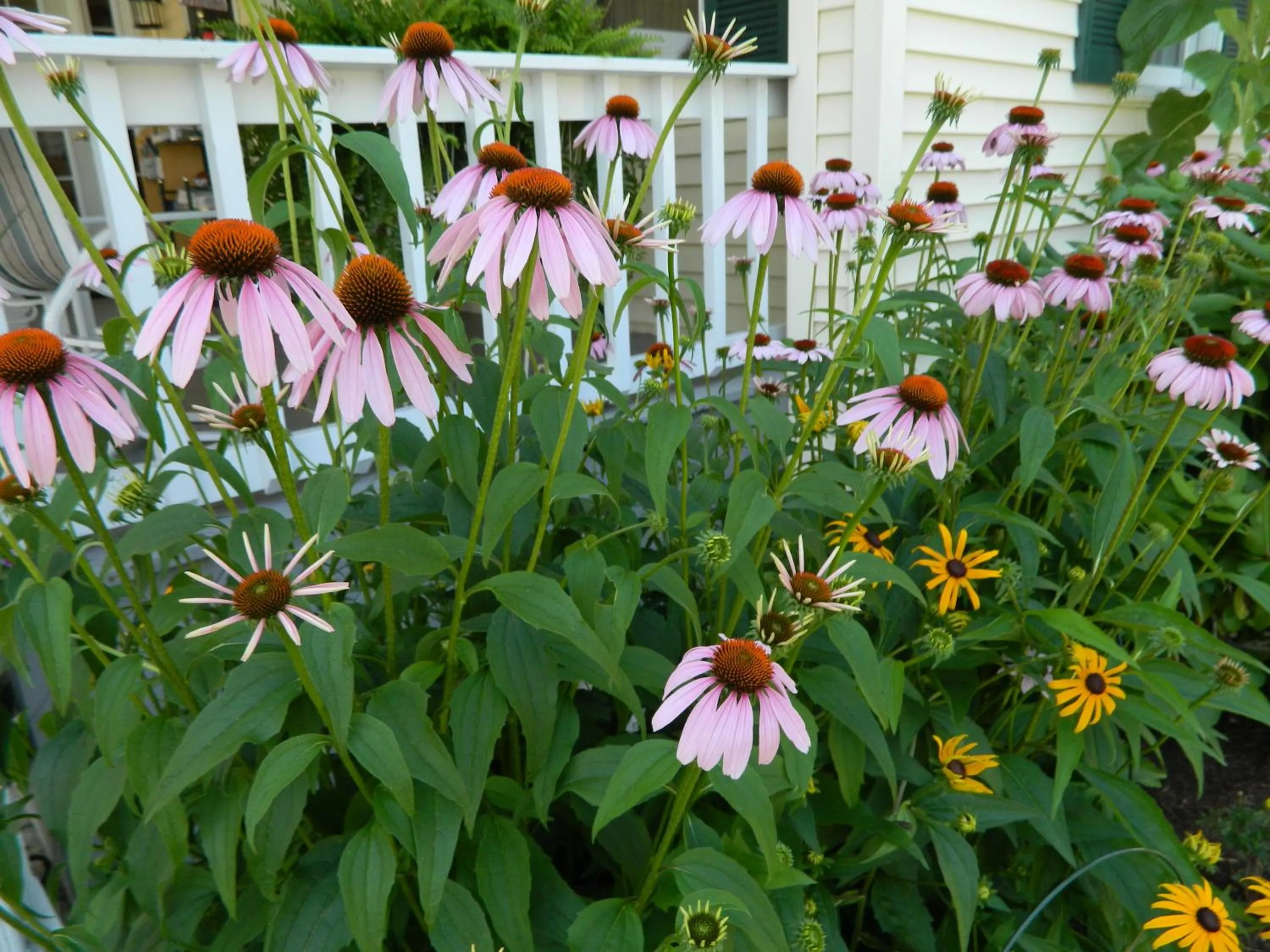Garden in The Heritage of Lake George