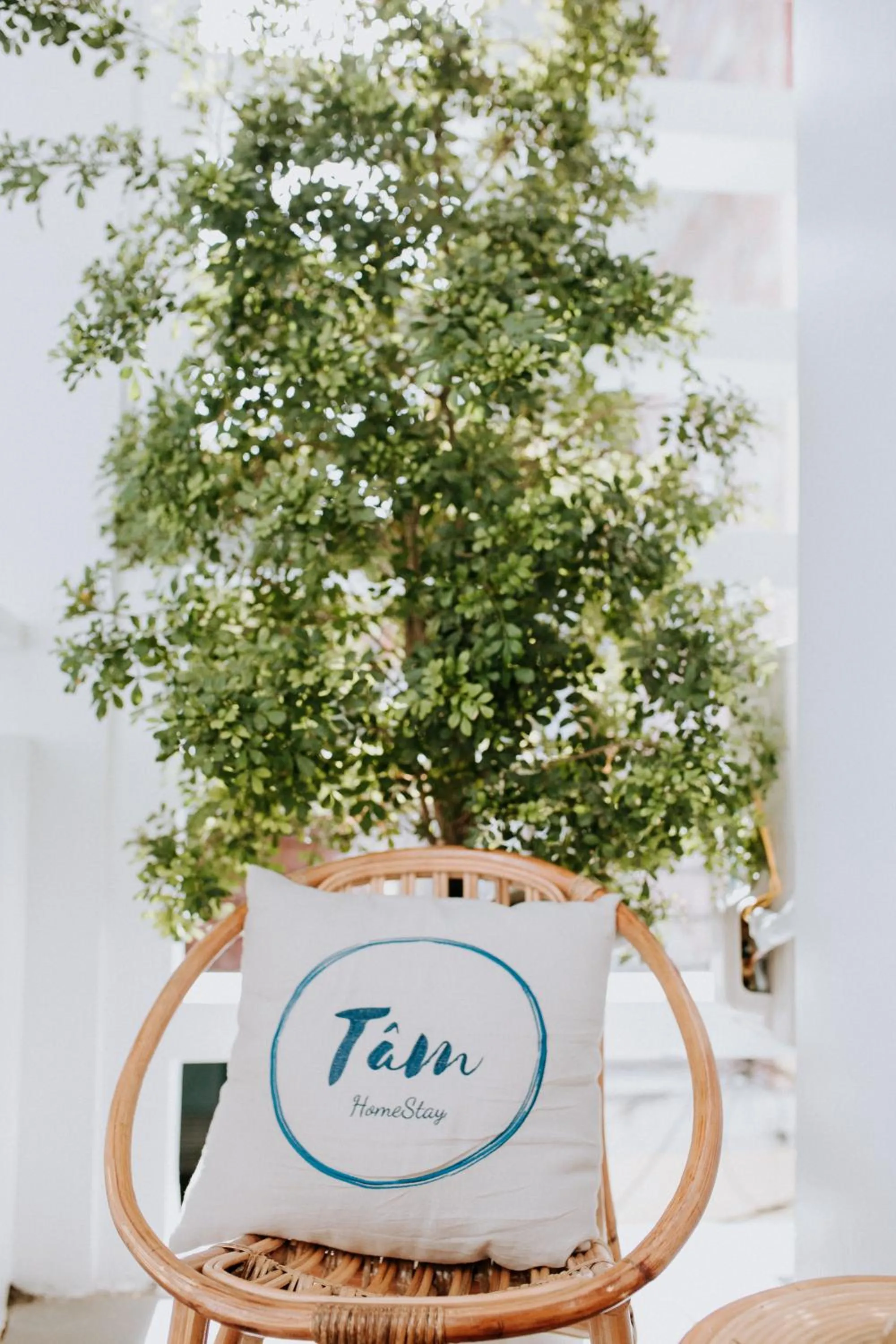 Property logo or sign in Tâm Homestay