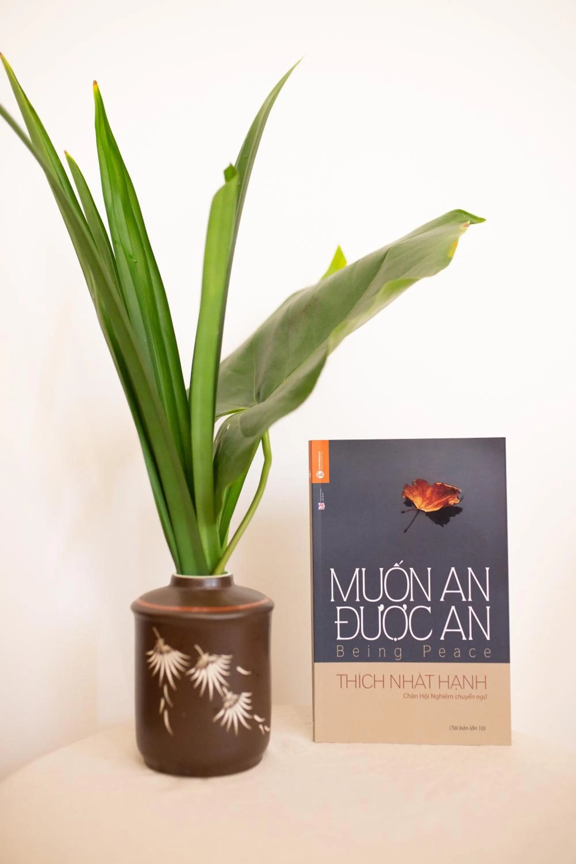 Property logo or sign in Tâm Homestay