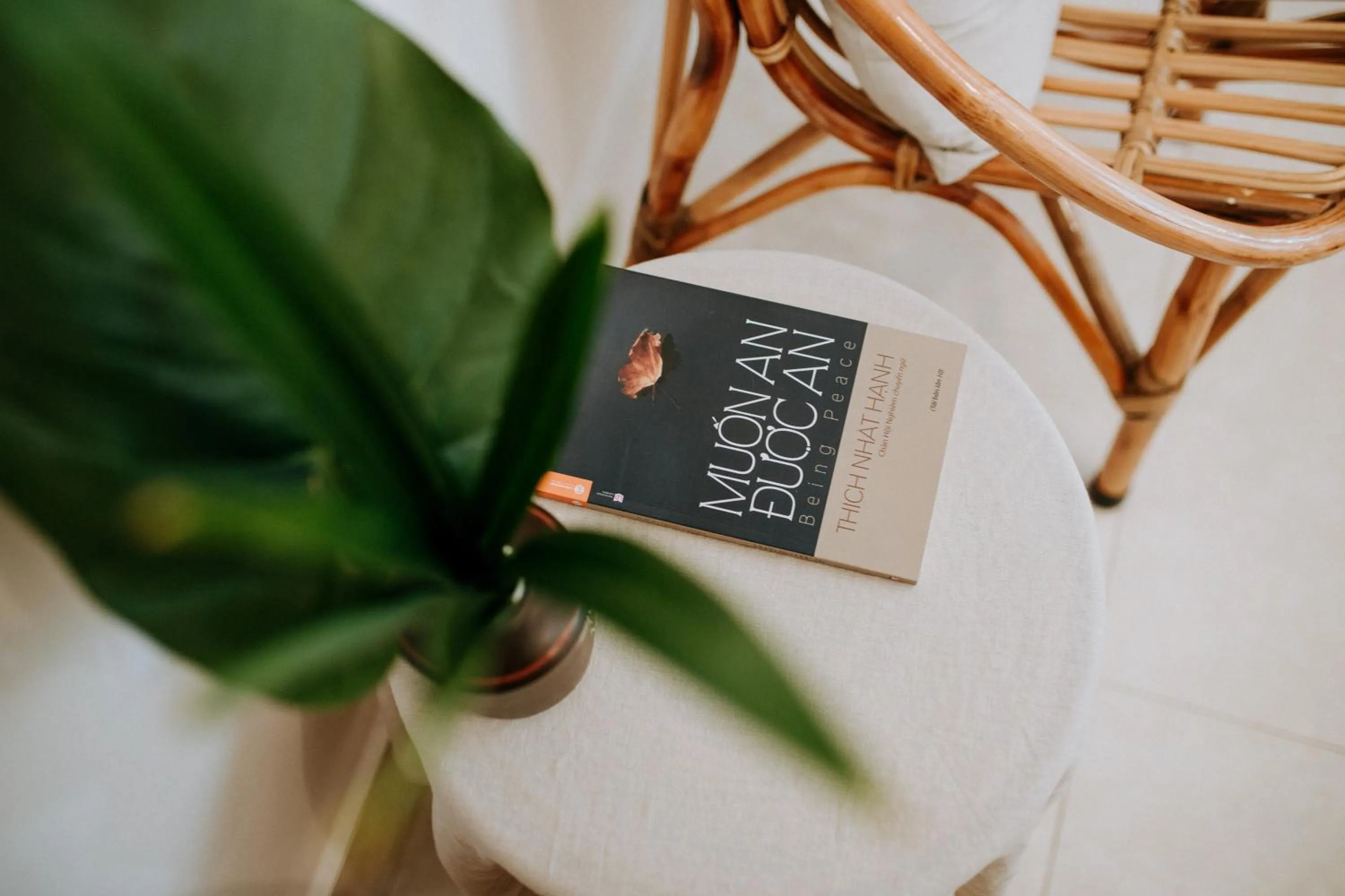 Property logo or sign in Tâm Homestay