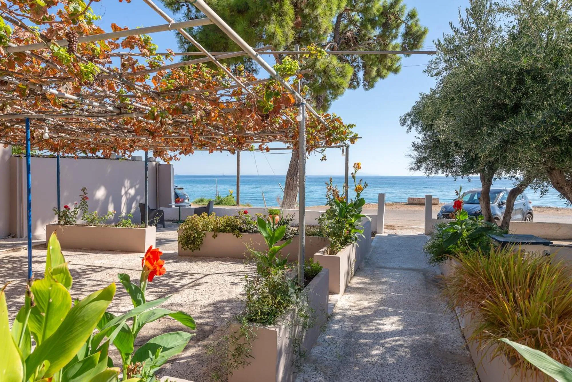 Garden in Akrogiali Studios