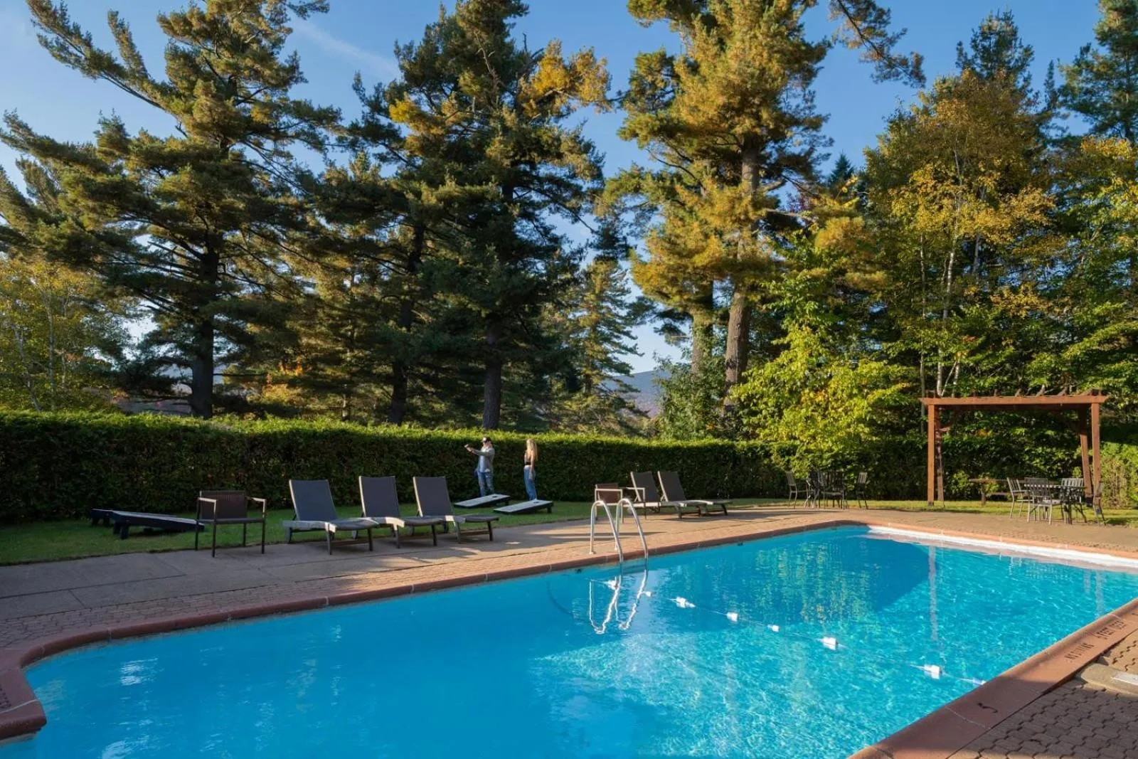 Swimming pool in Town House Lodge