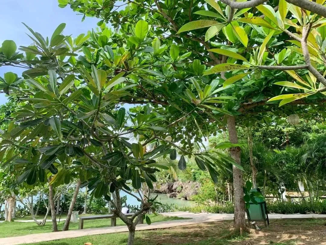 Cebu R Resort Tabuelan