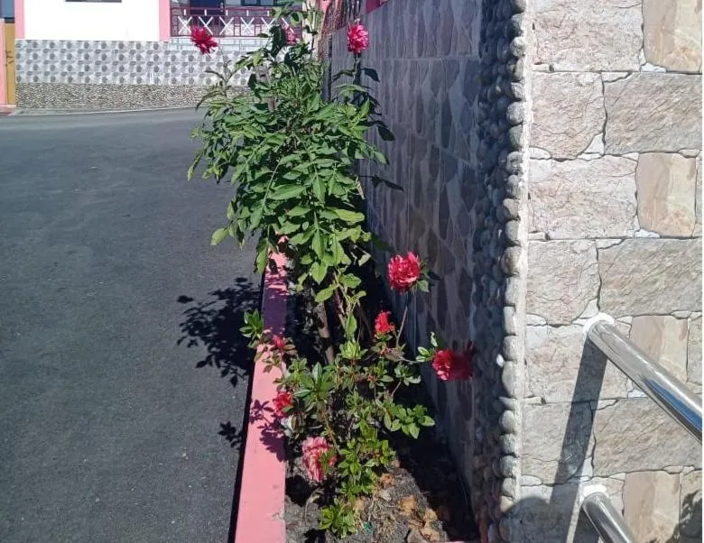 Garden in Sulawado Resort