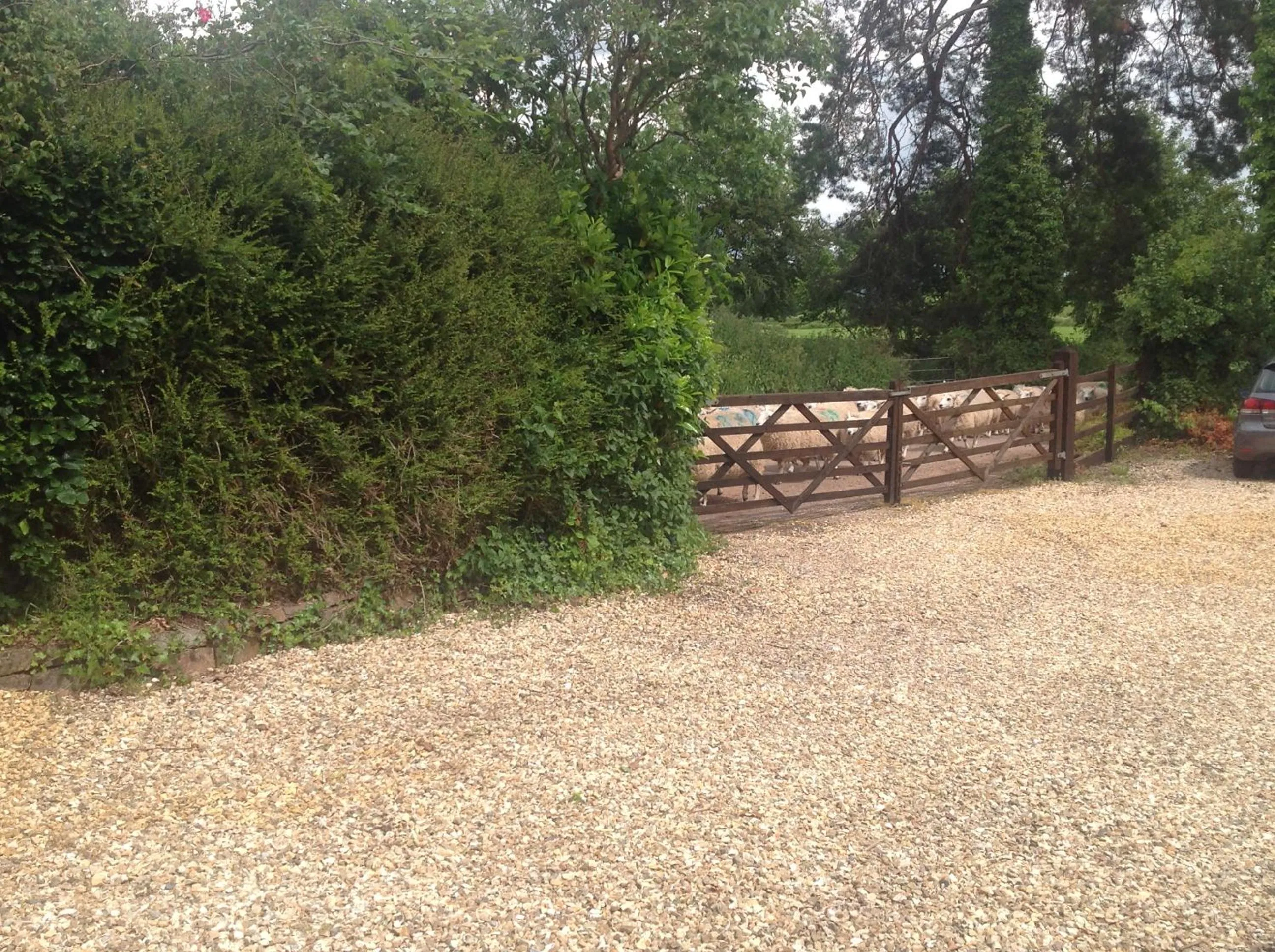 Property building in Meadowview