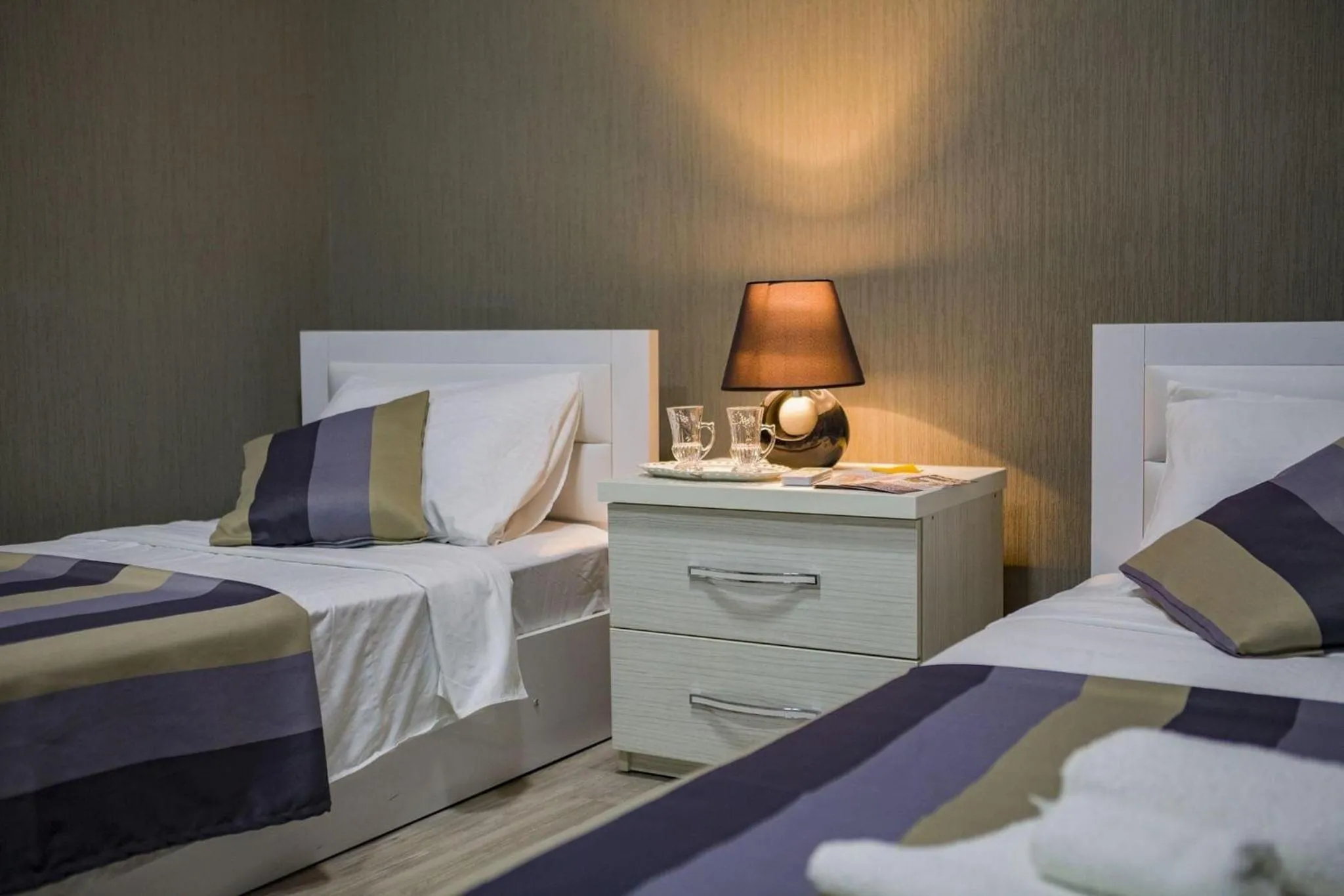 Standard Twin Room in Twins Hotel