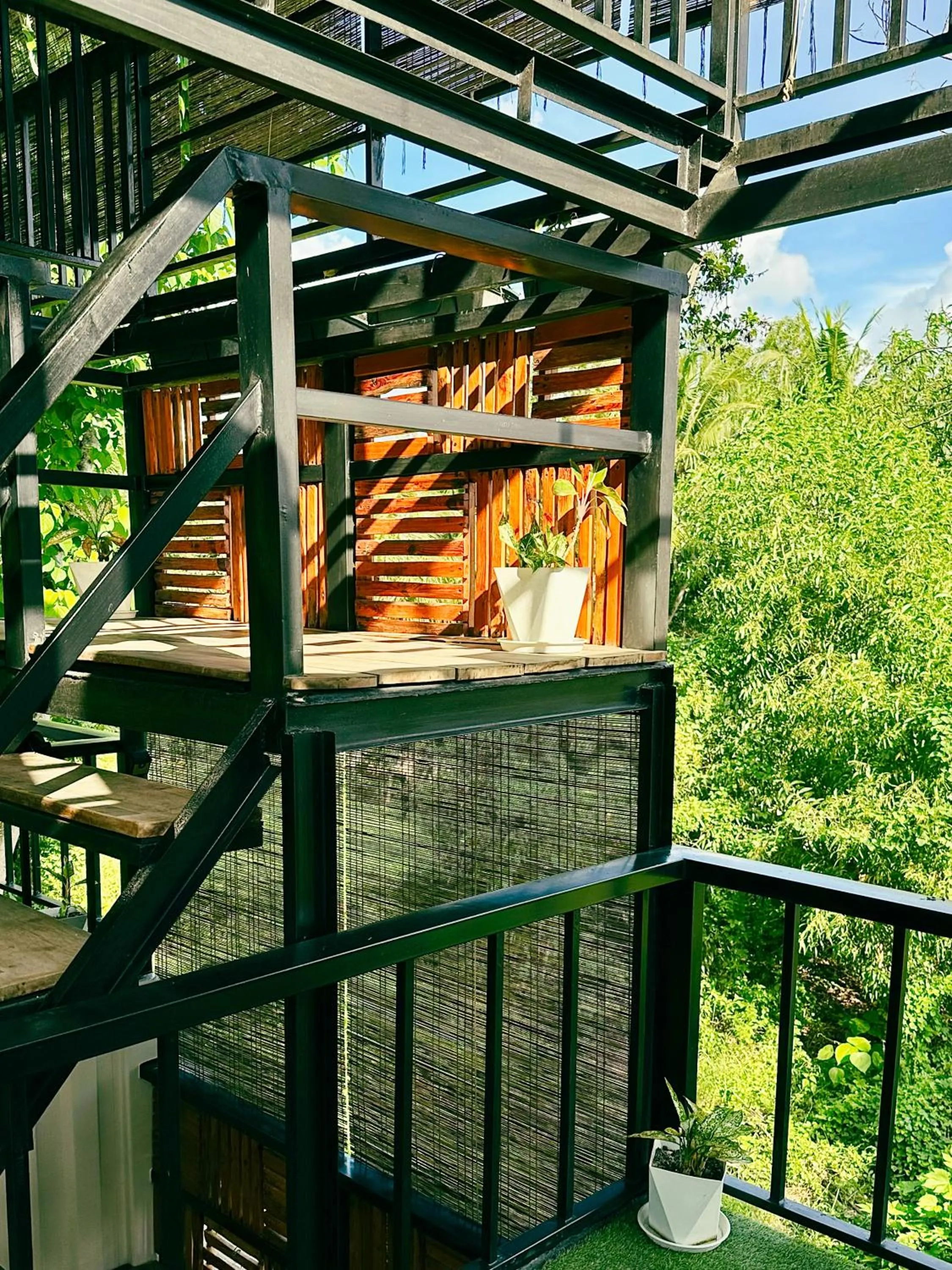 Property building in Pig Dive Hostel Moalboal