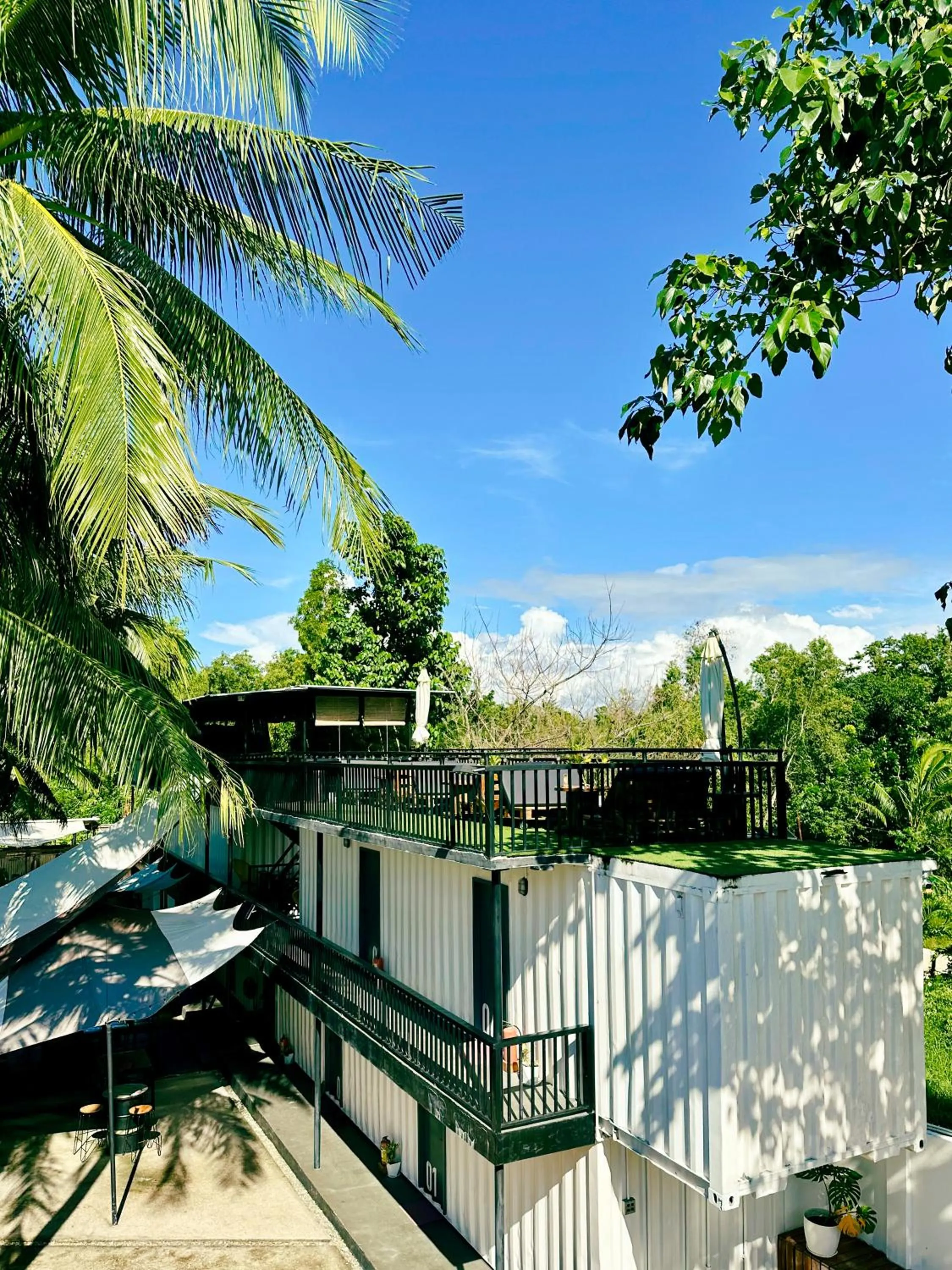 Natural landscape in Pig Dive Hostel Moalboal