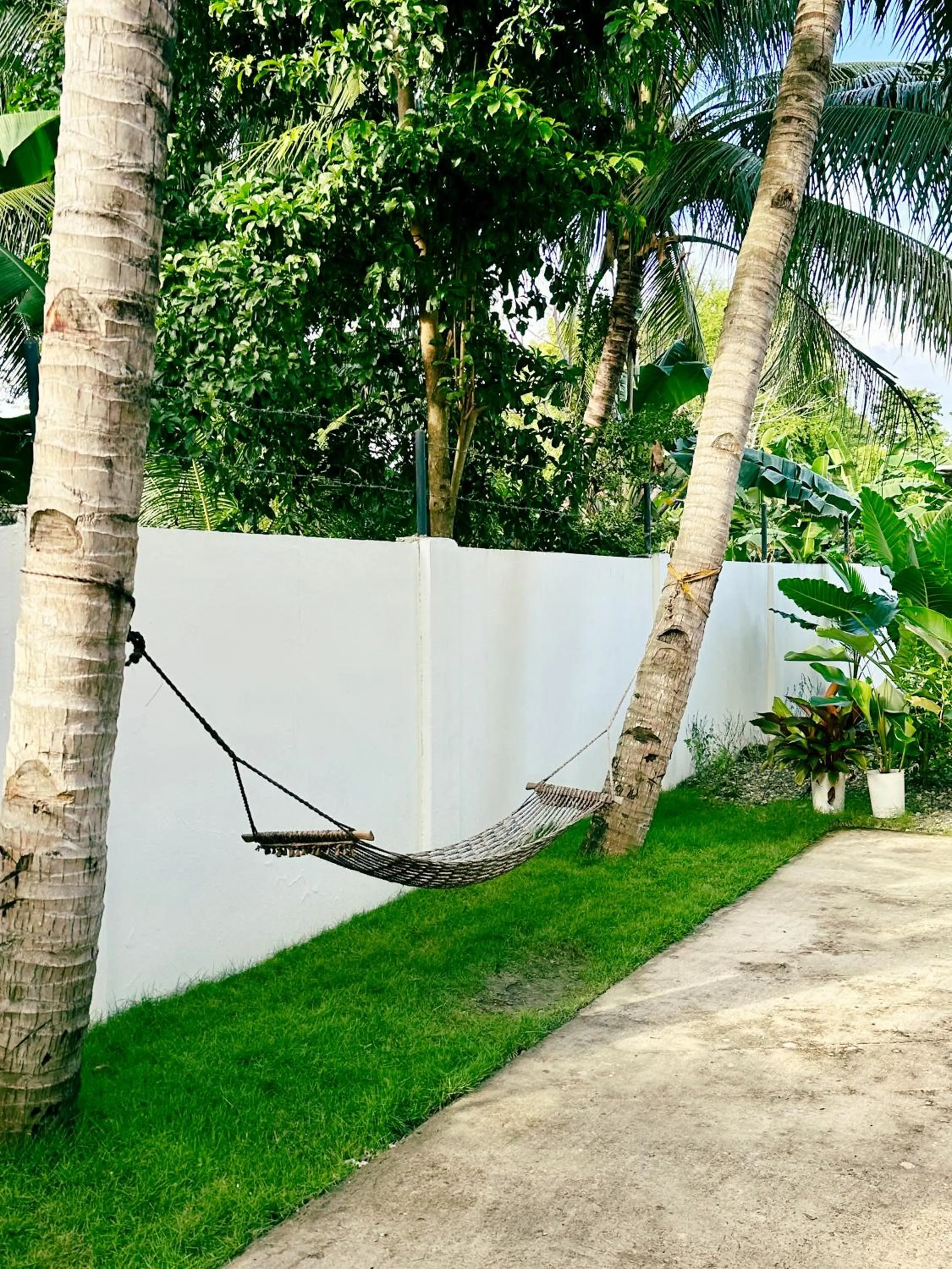 Garden view in Pig Dive Hostel Moalboal