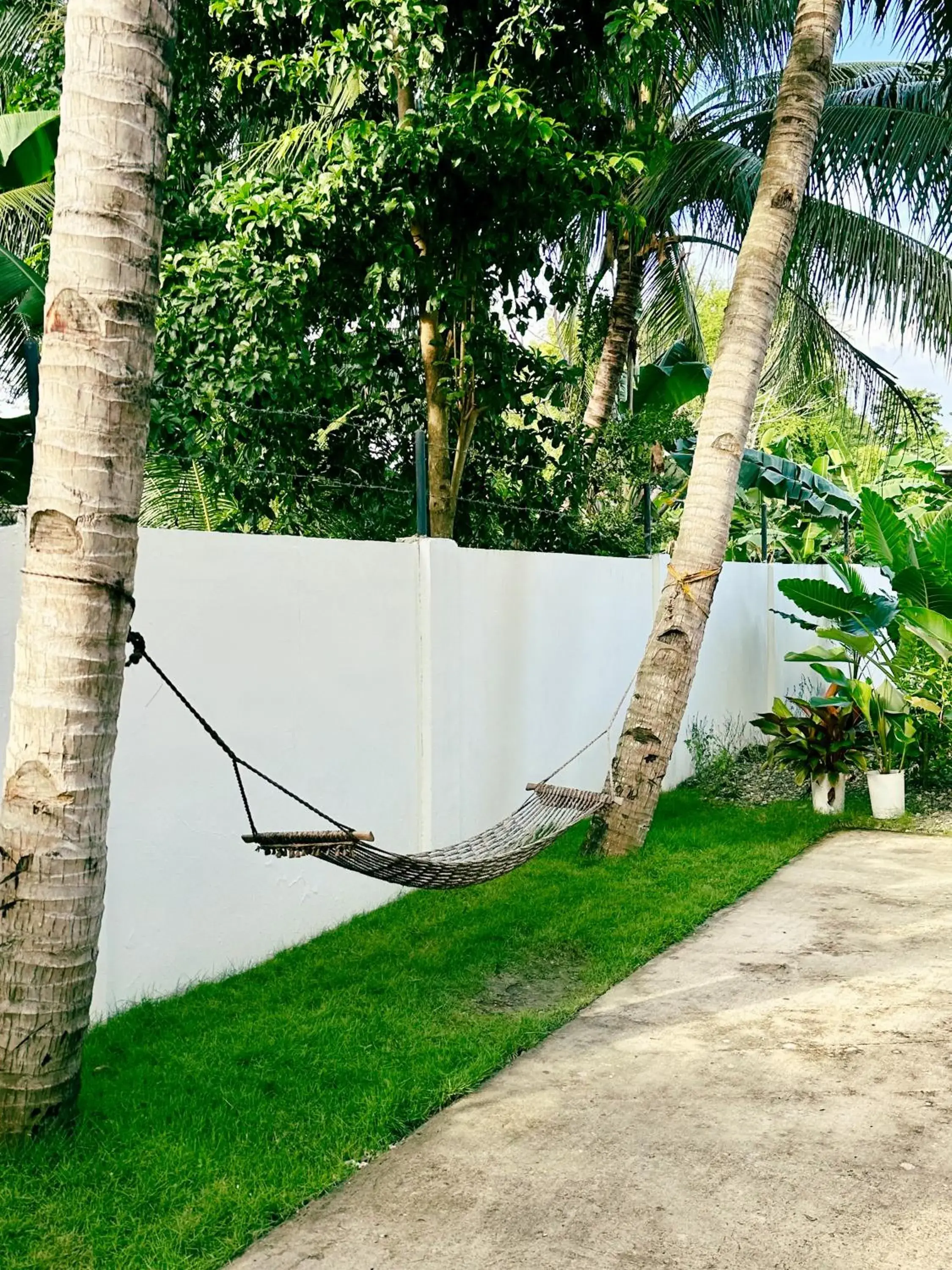 Garden view in Pig Dive Hostel Moalboal Garden view in Pig Dive Hostel Moalboal