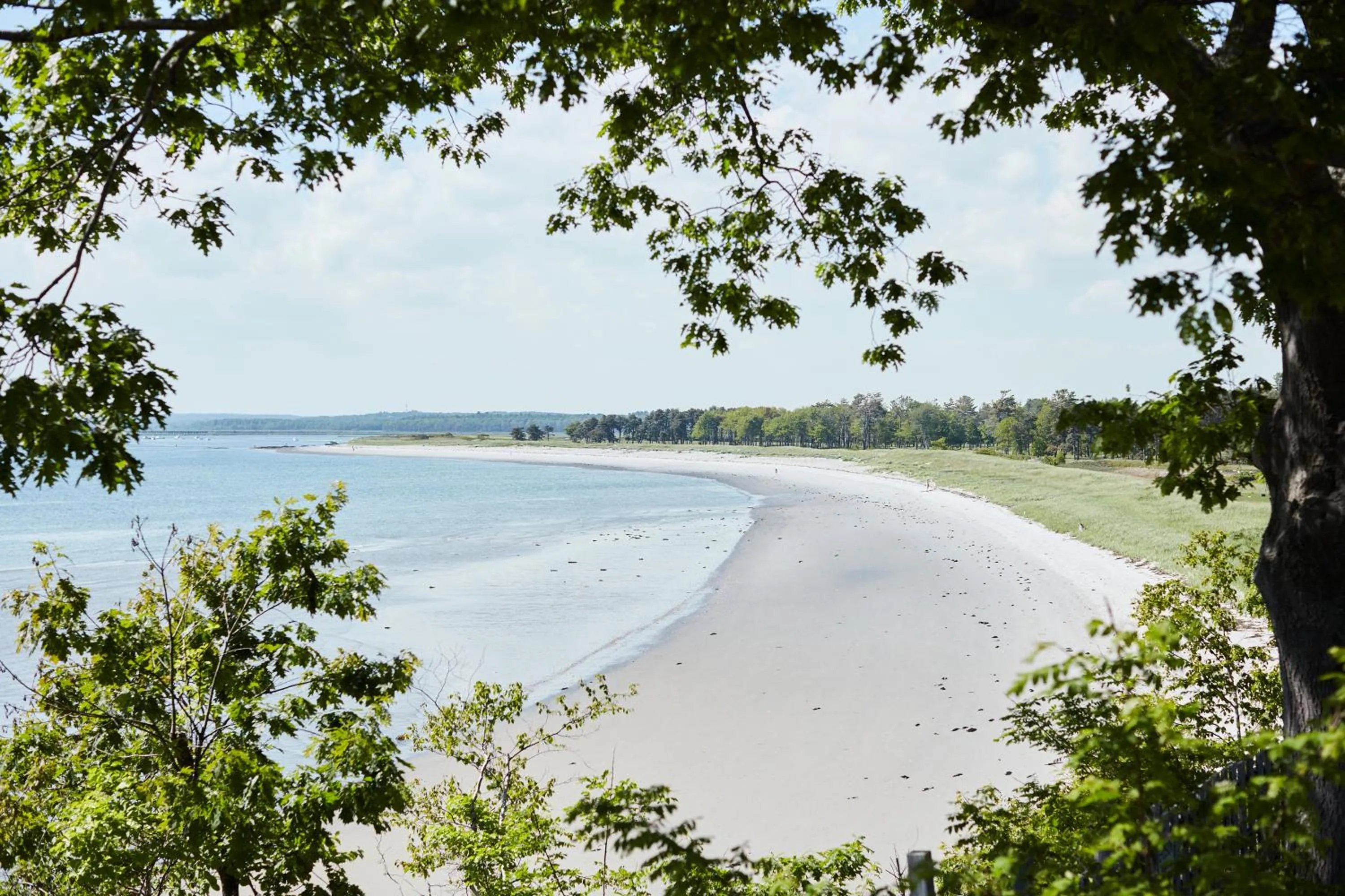 Natural landscape in Black Point Inn