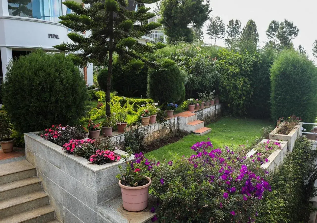Garden view in Twin Tree Garden view in Twin Tree