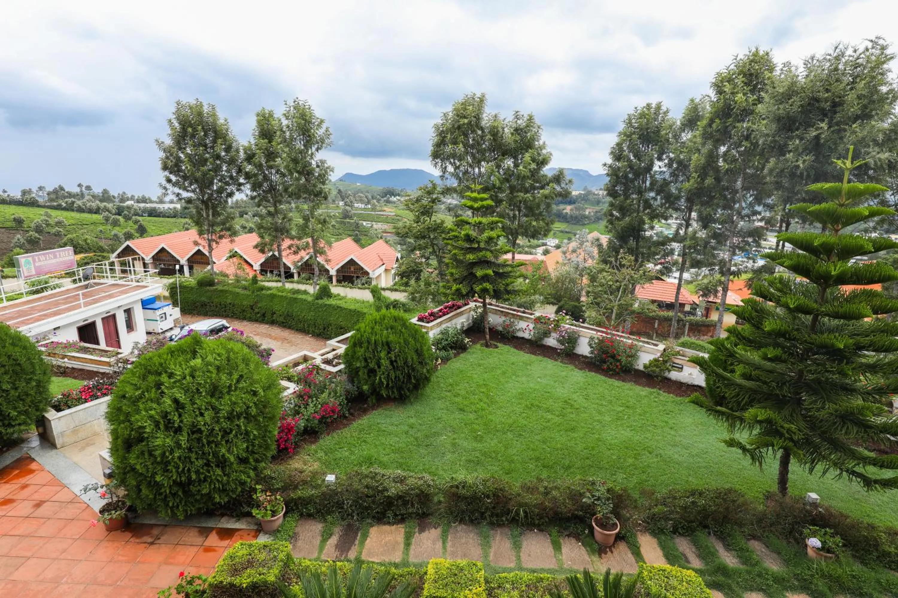 Natural landscape in Twin Tree