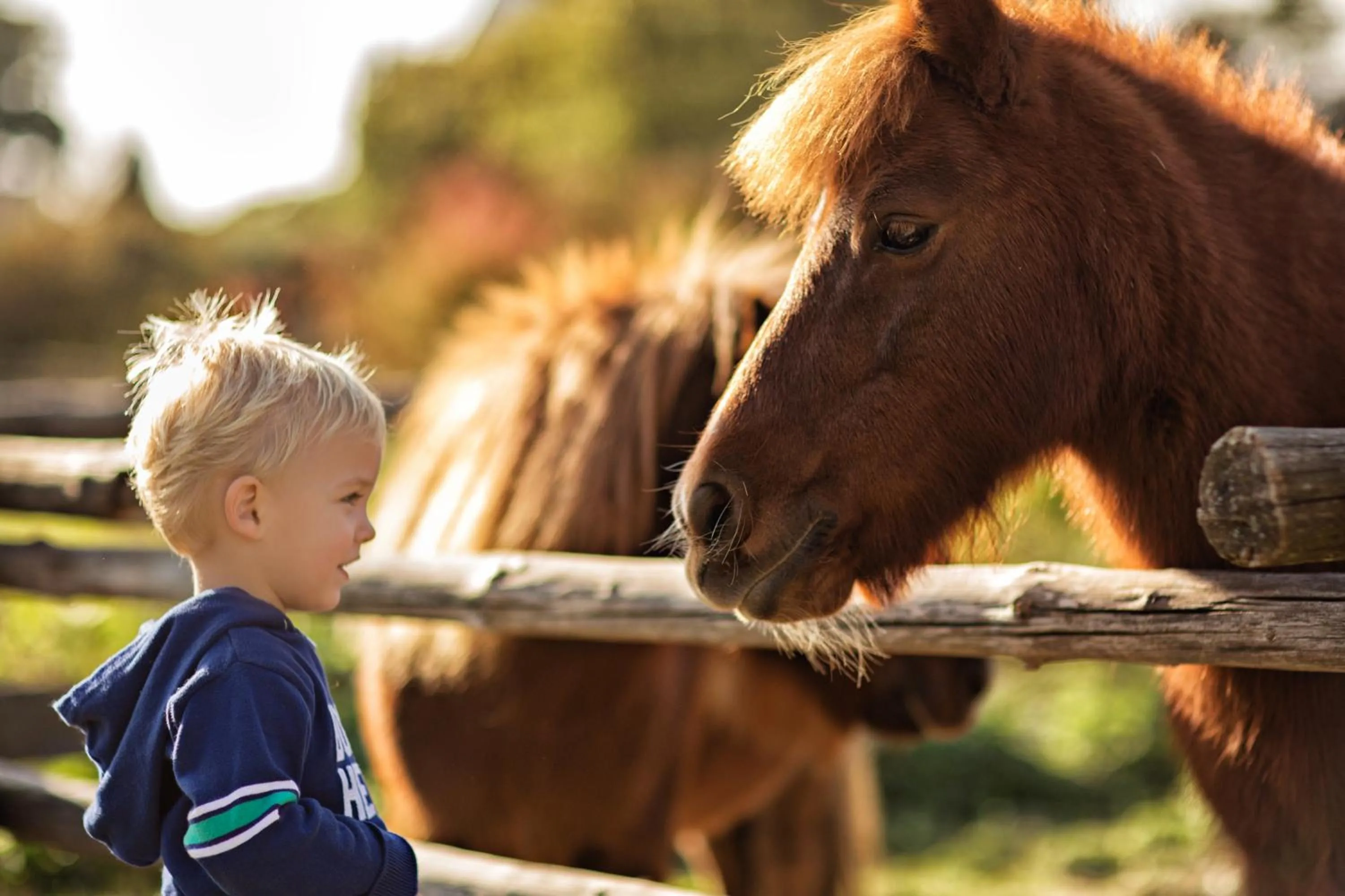 Animals in Sporthotel Neuburg
