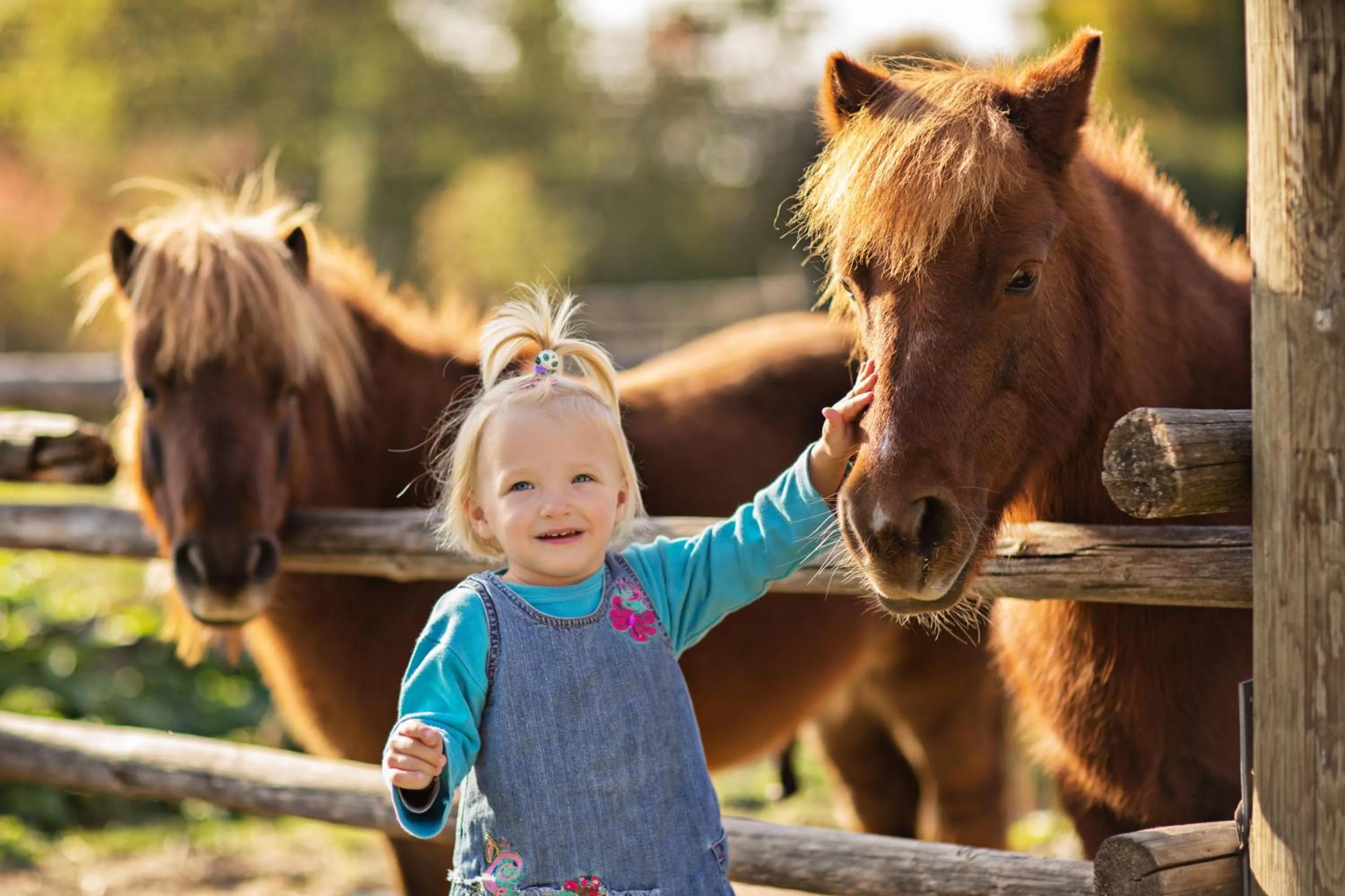 Animals in Sporthotel Neuburg