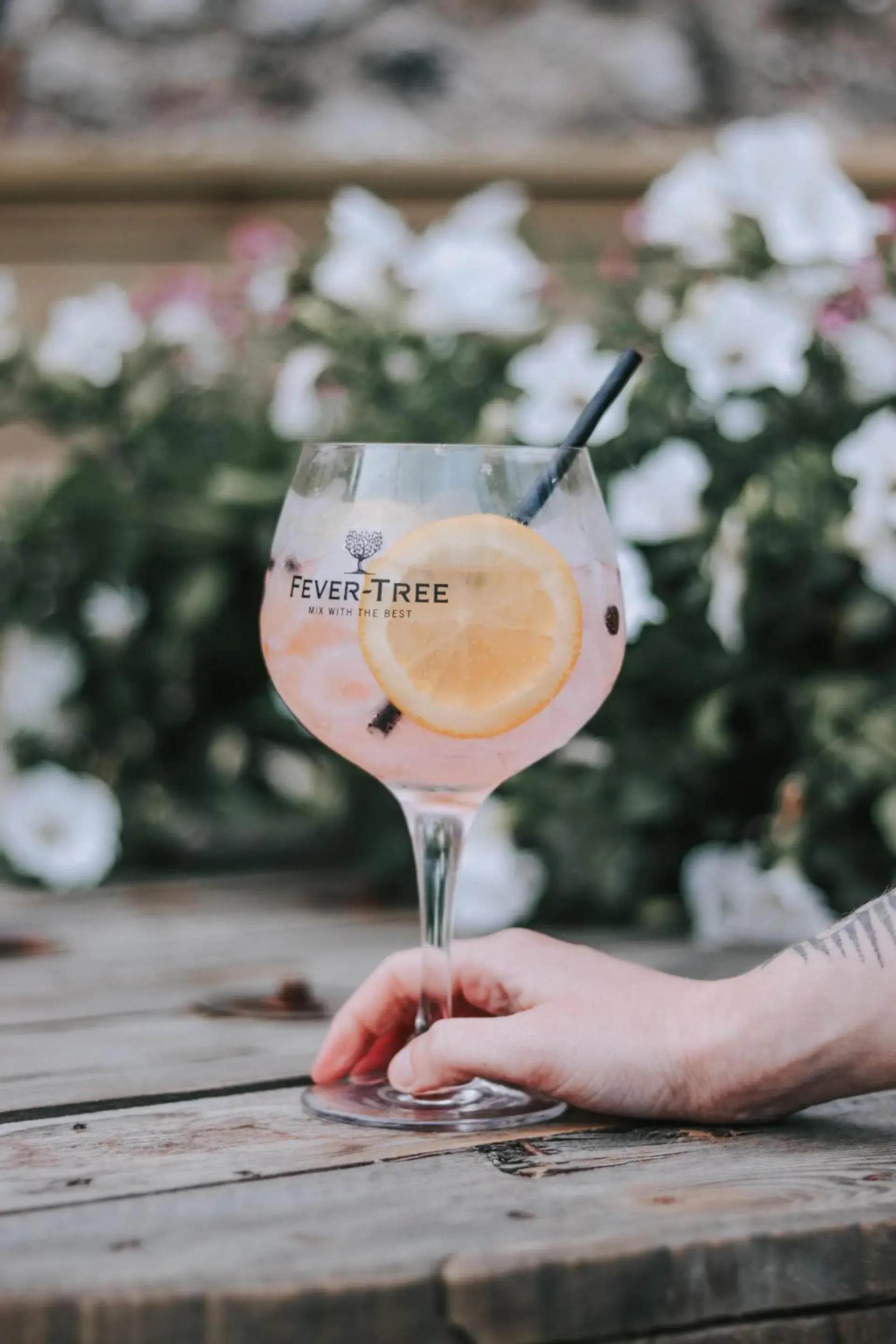 Food and drinks in The Town Arms Food and drinks in The Town Arms