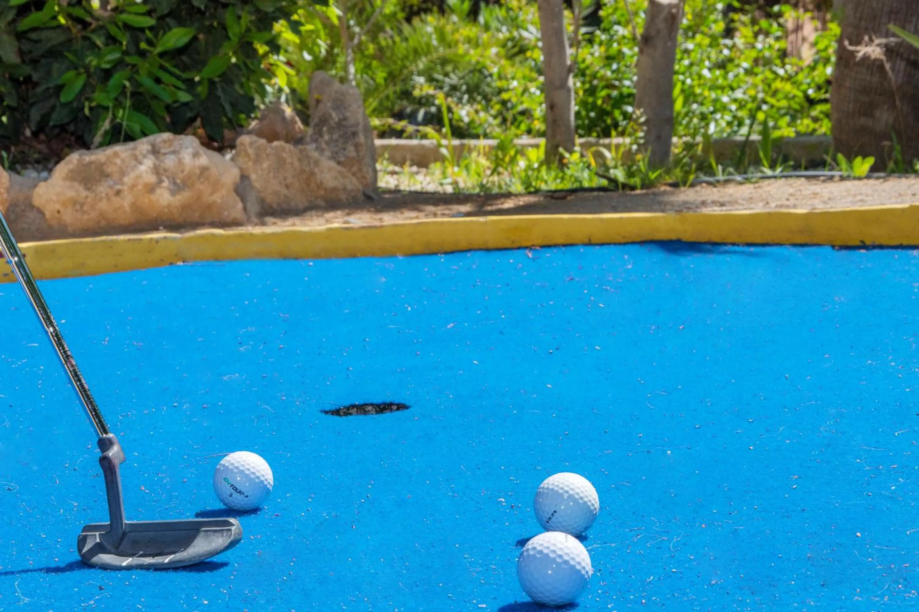 Day in APARTAMENTOS PALASIET