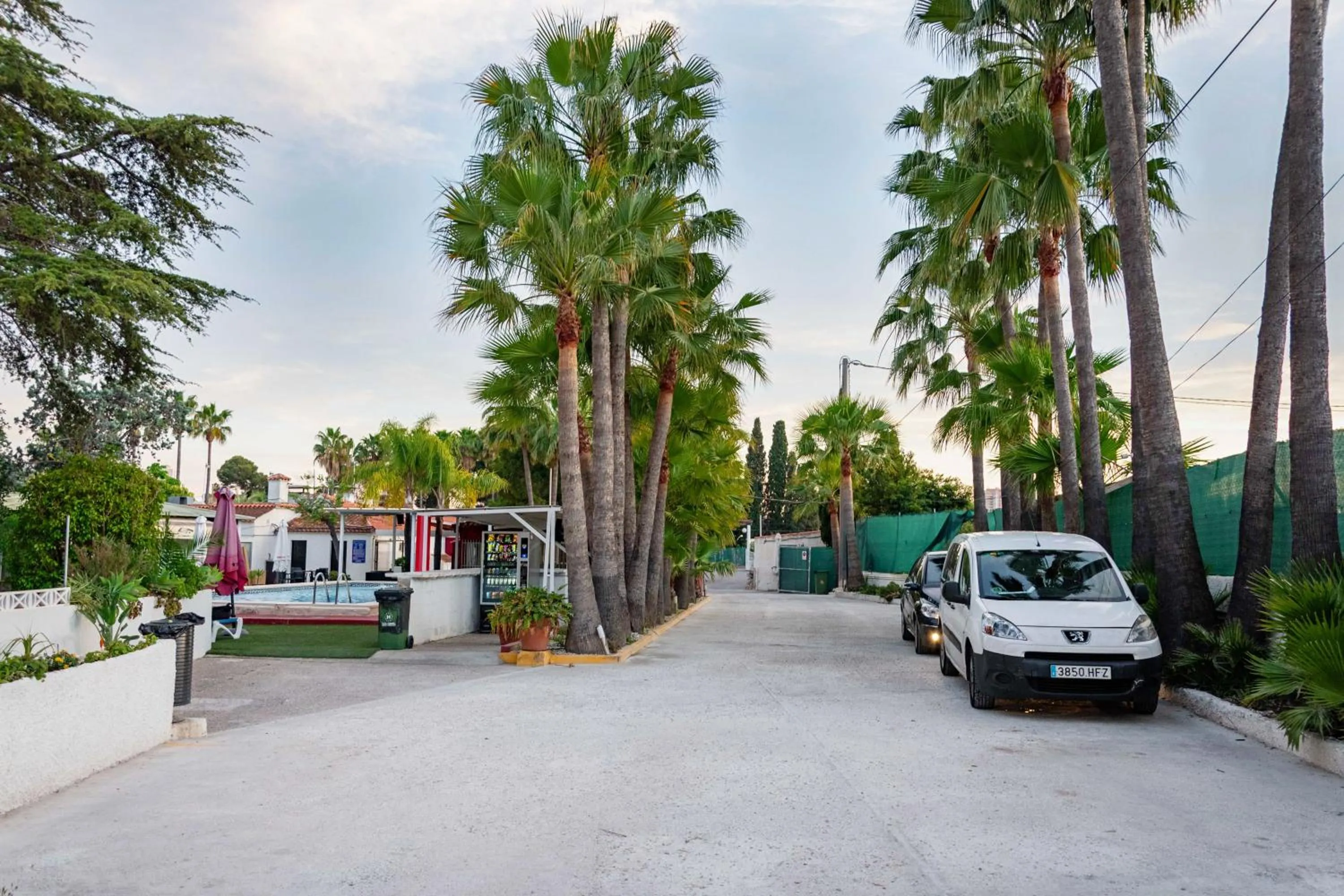 Spring in APARTAMENTOS PALASIET