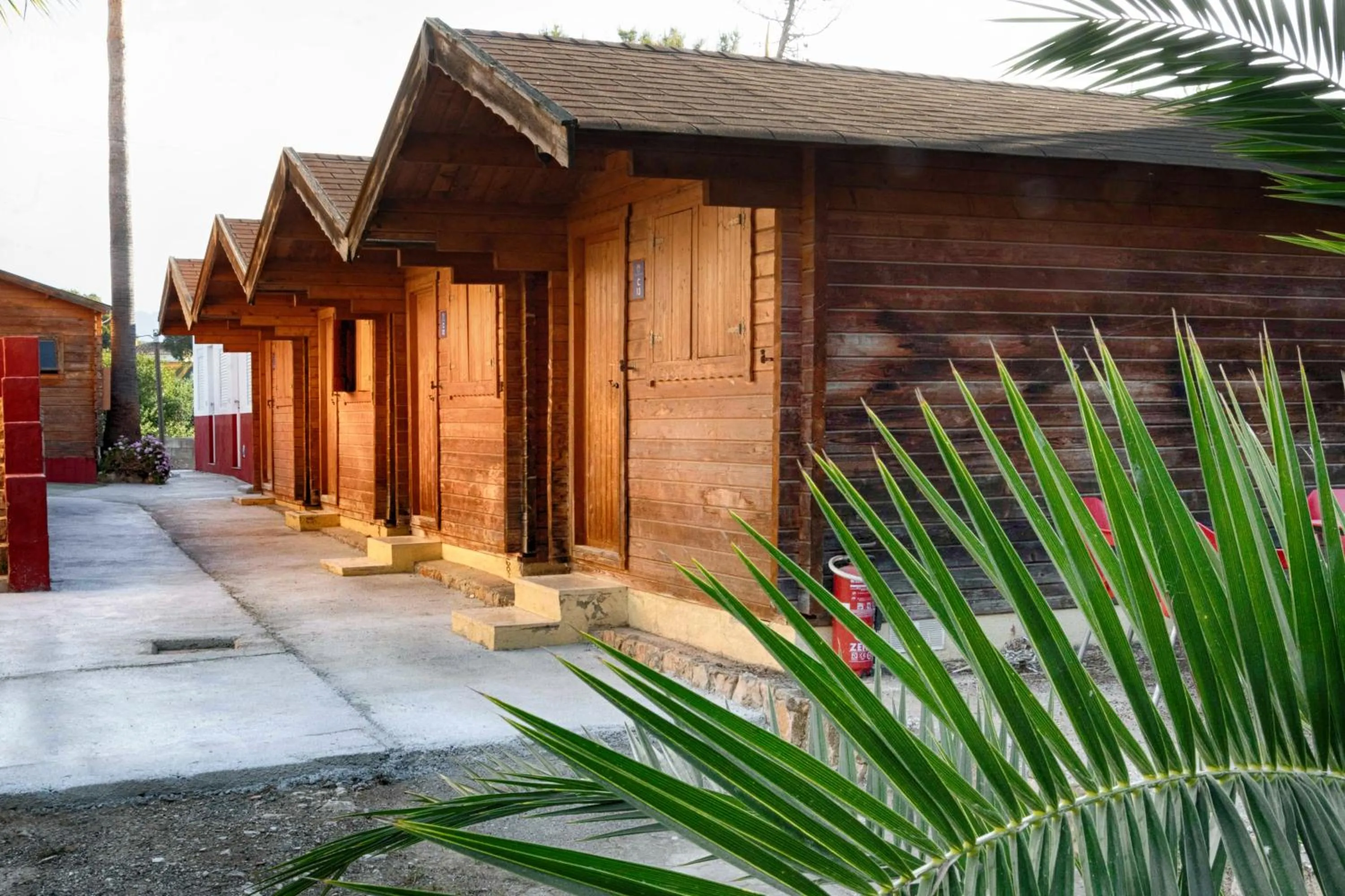 Property building in APARTAMENTOS PALASIET