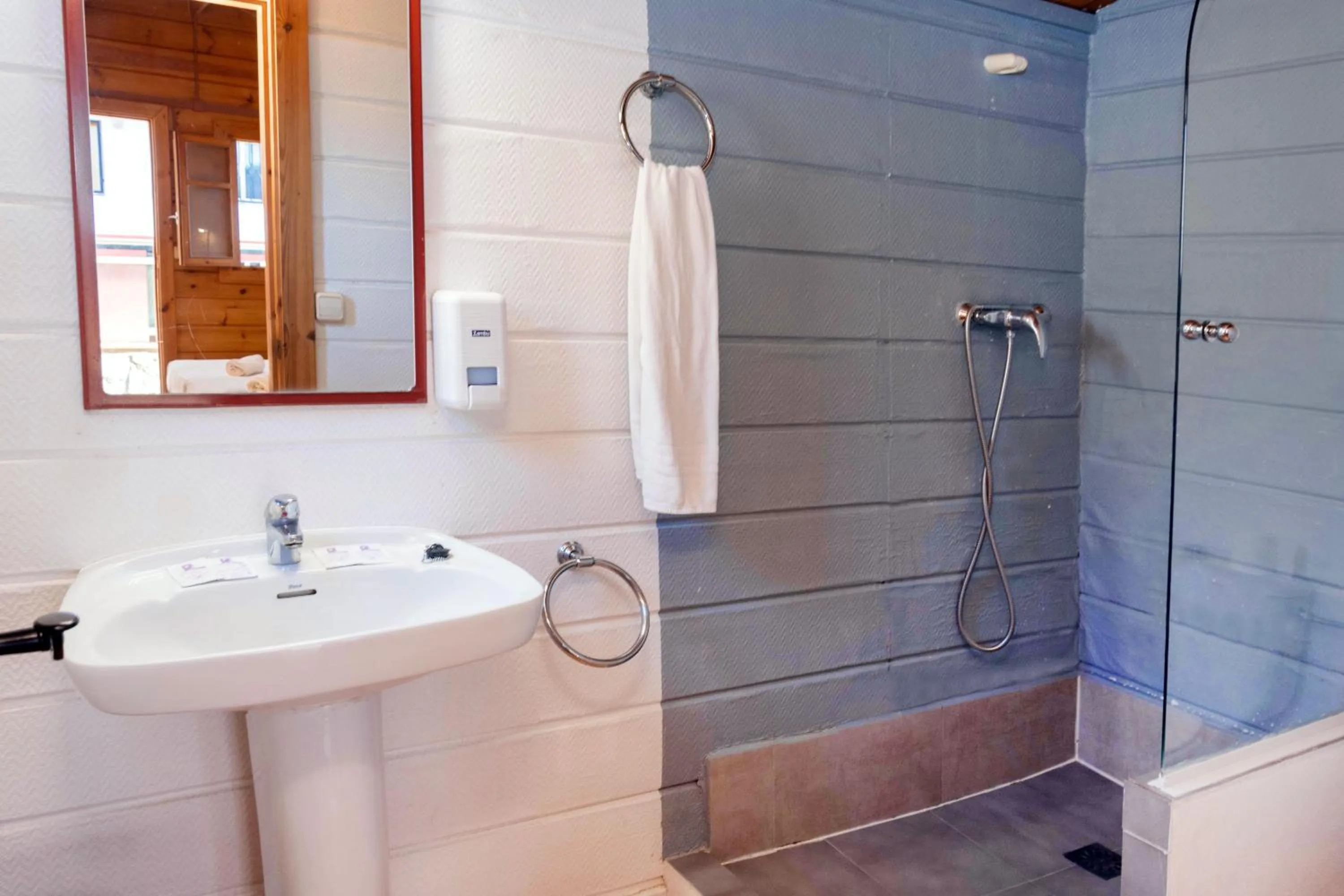 Shower in APARTAMENTOS PALASIET