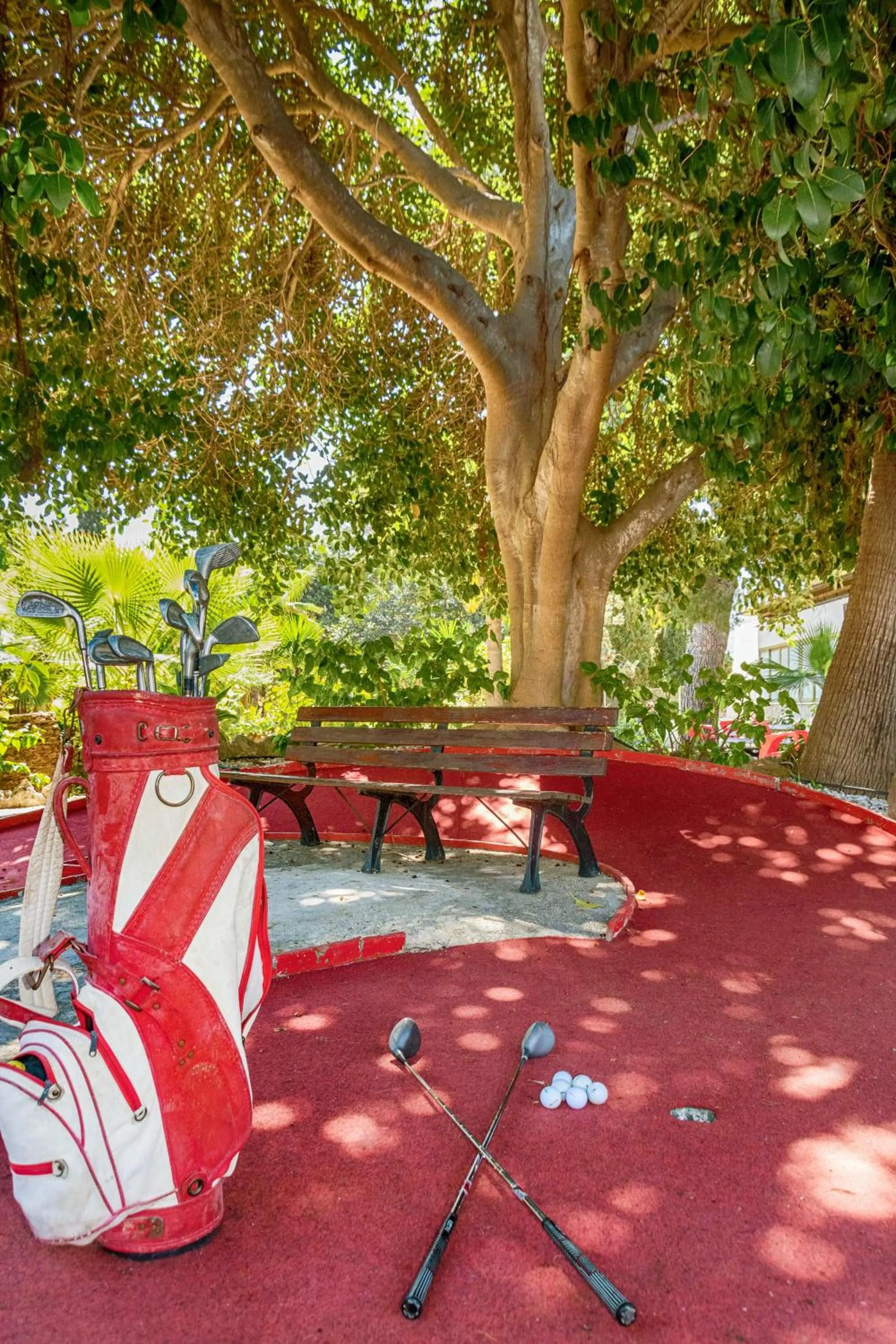 Patio in APARTAMENTOS PALASIET
