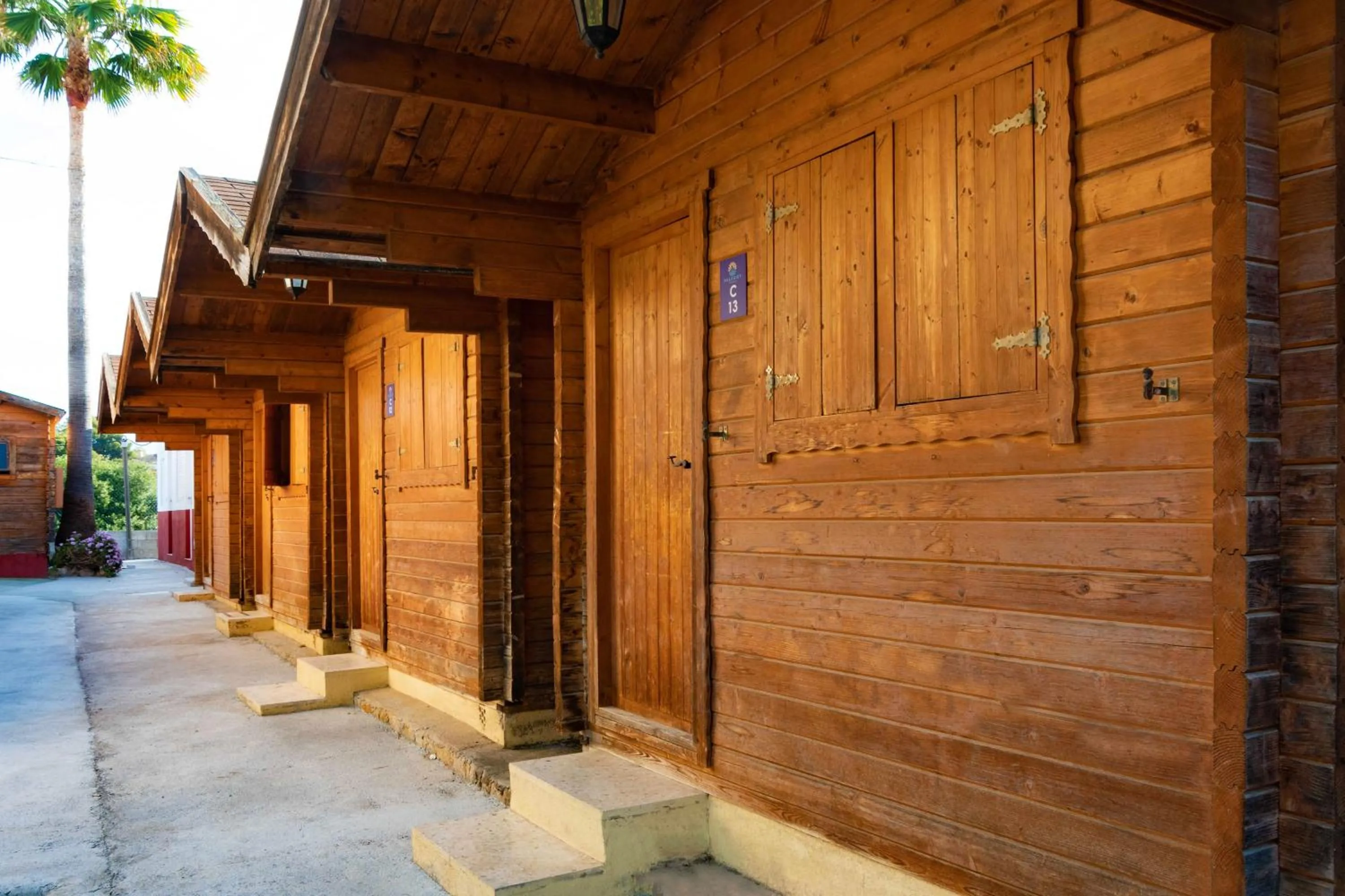 Day in APARTAMENTOS PALASIET