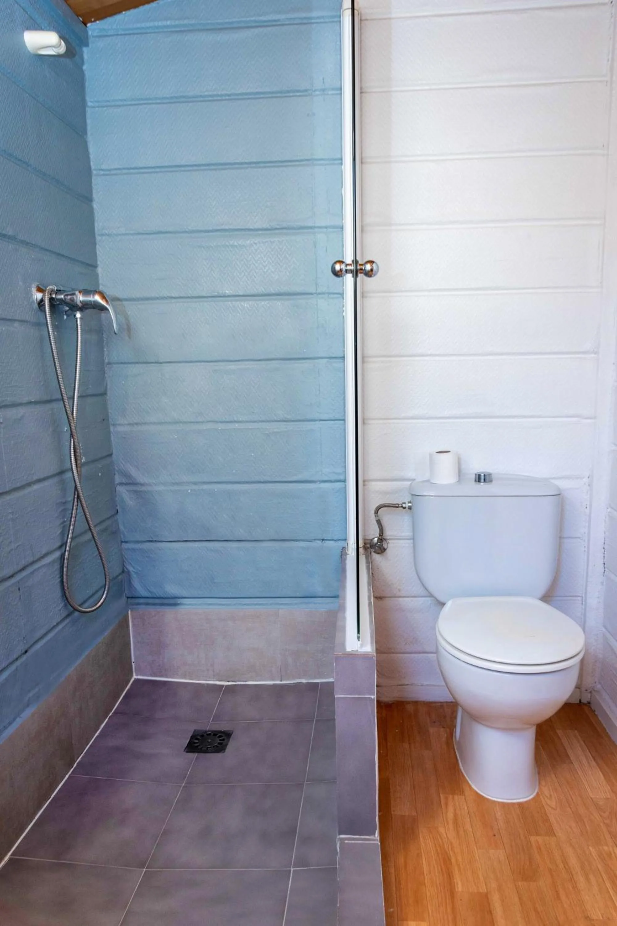 Shower in APARTAMENTOS PALASIET