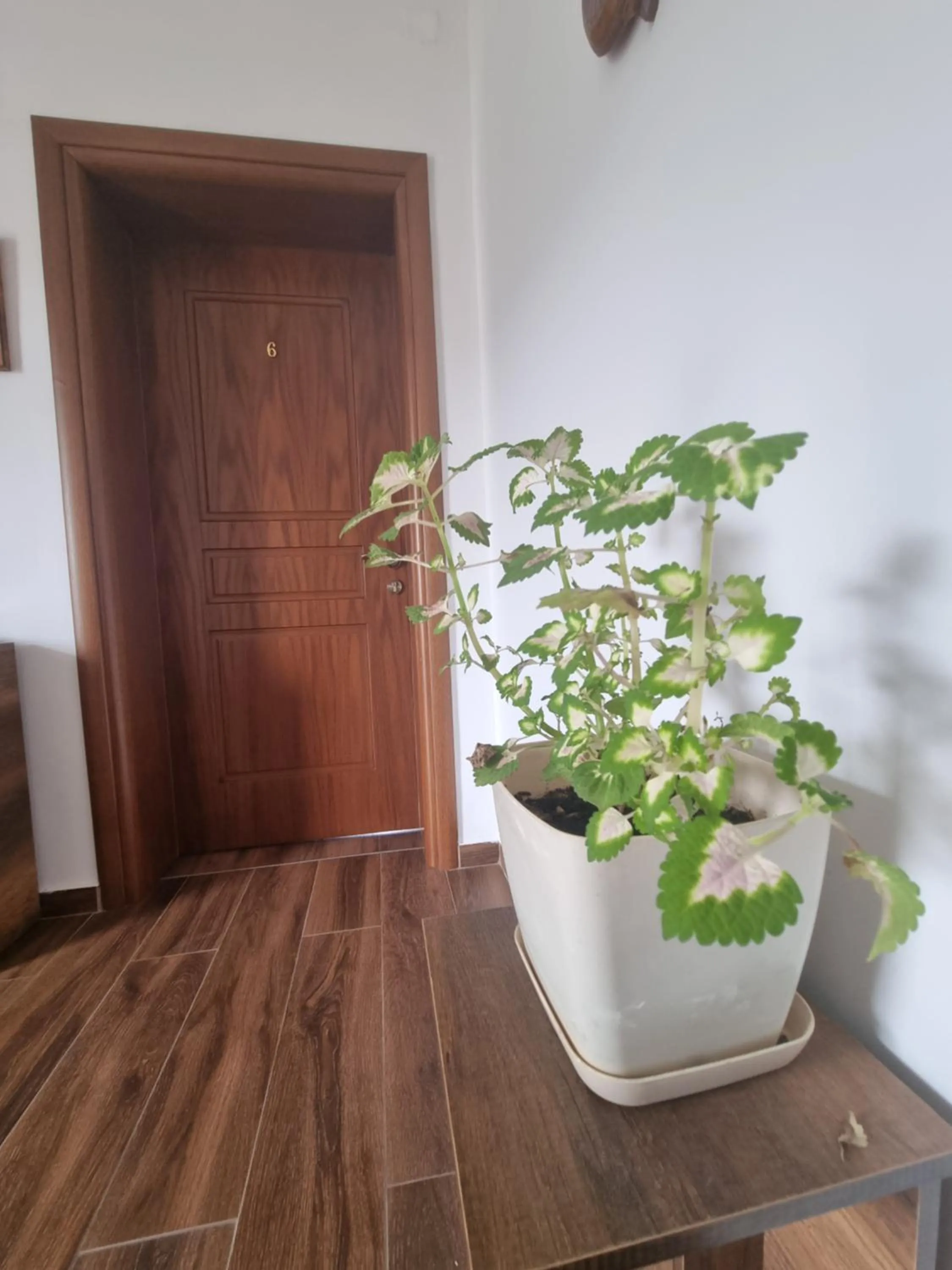 Property building in HOTEL VILA TWIX