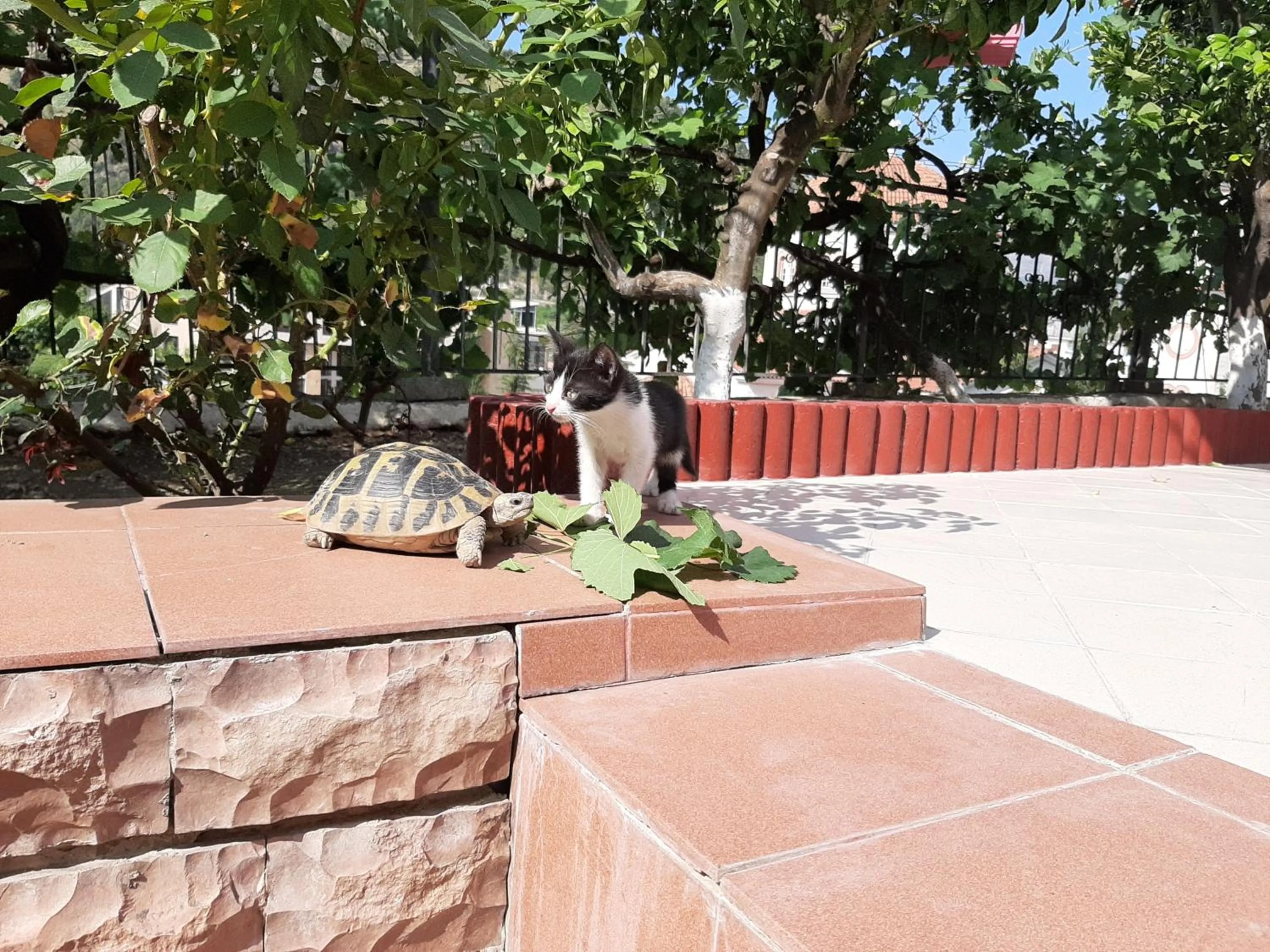 People in HOTEL VILA TWIX