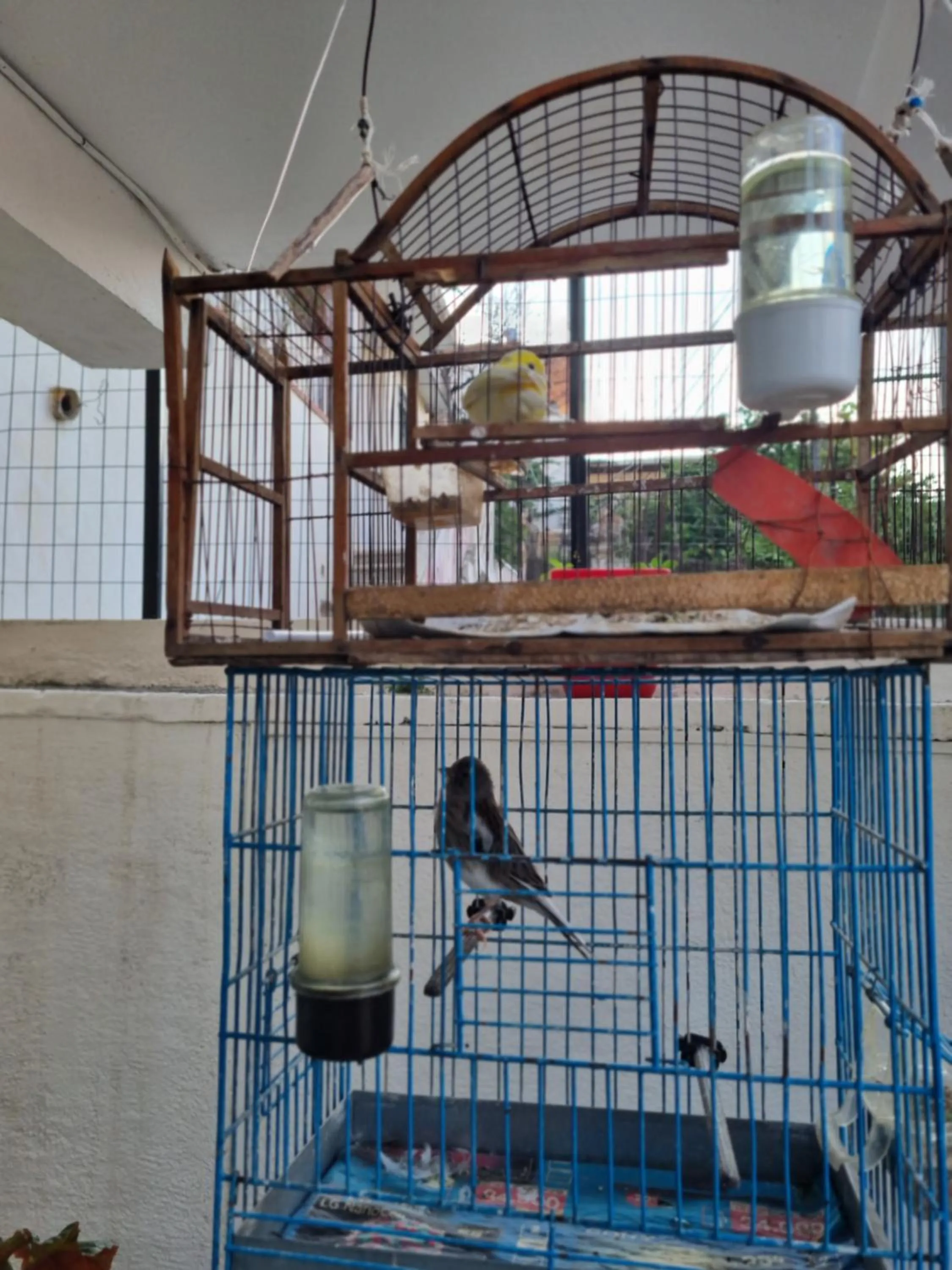 Bird's eye view in HOTEL VILA TWIX