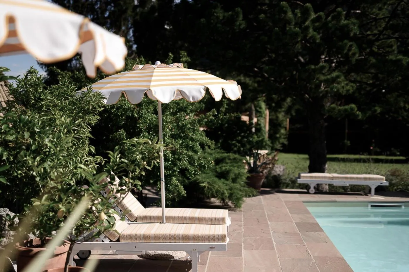 Natural landscape in Villa Arnica, a Member of Design Hotels