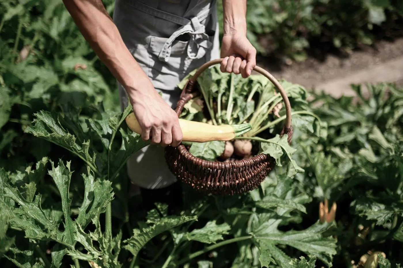 People in Villa Arnica, a Member of Design Hotels
