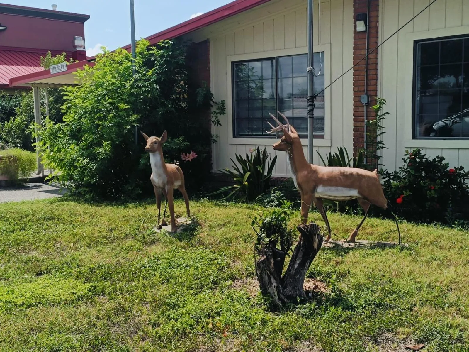 Garden in Pen Ann by Capital O Pharr-McAllen TX