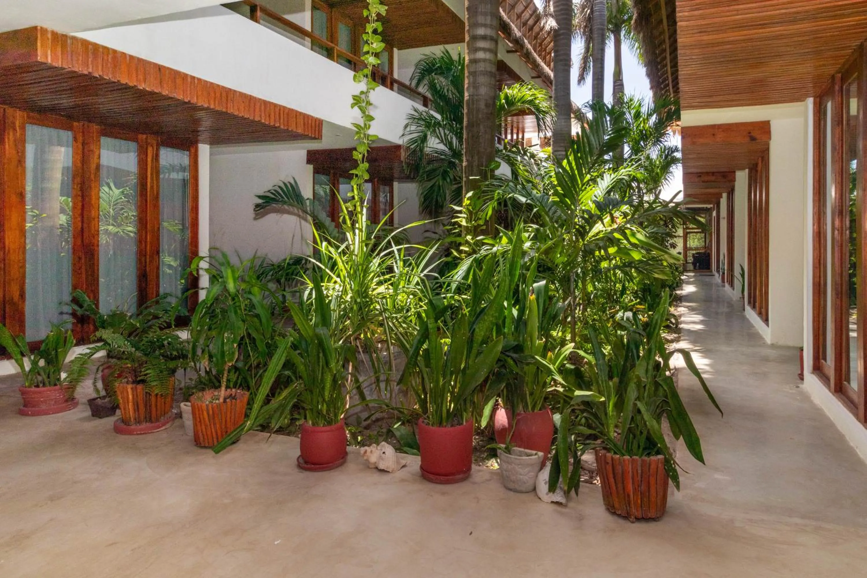 Garden in Hotel Casa Lumini Holbox