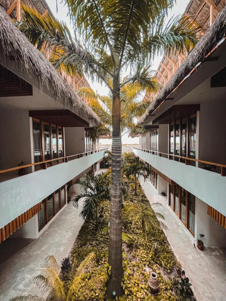 Garden in Hotel Casa Margot