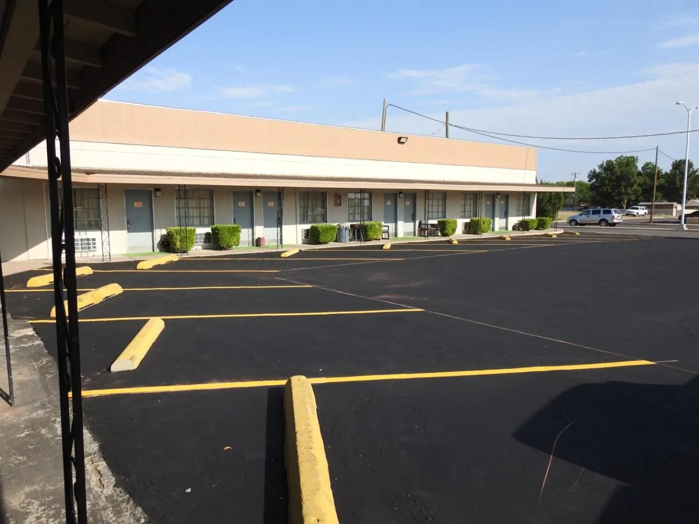 Activities in Mayo Inn