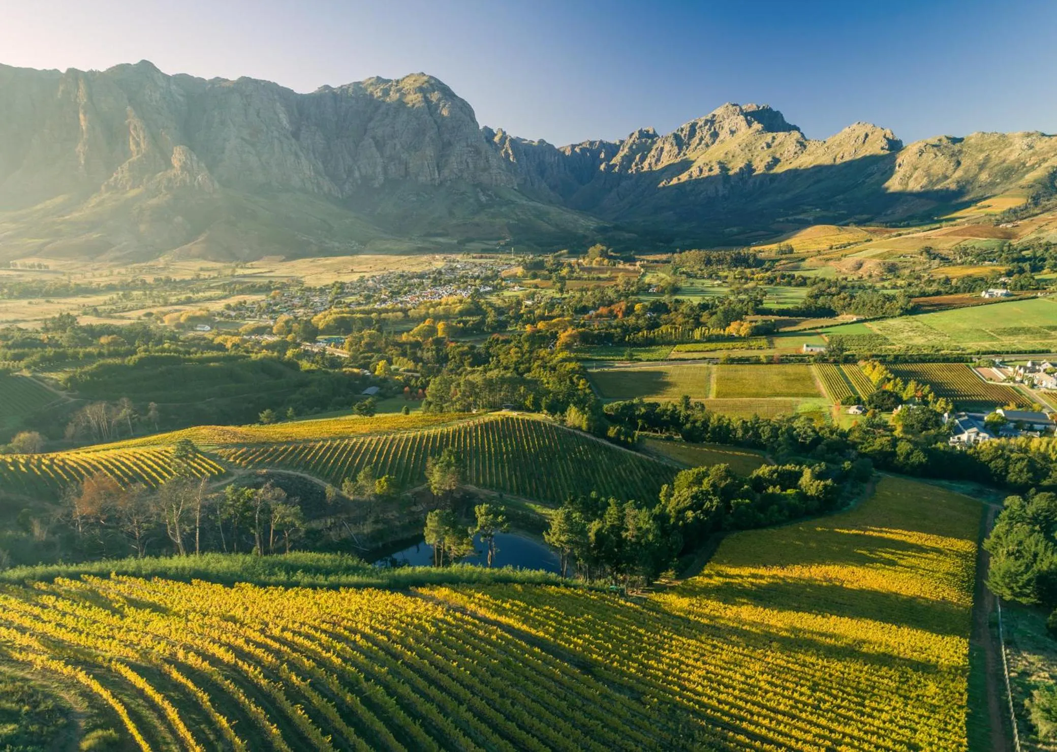 Bartinney Private Cellar Banhoek