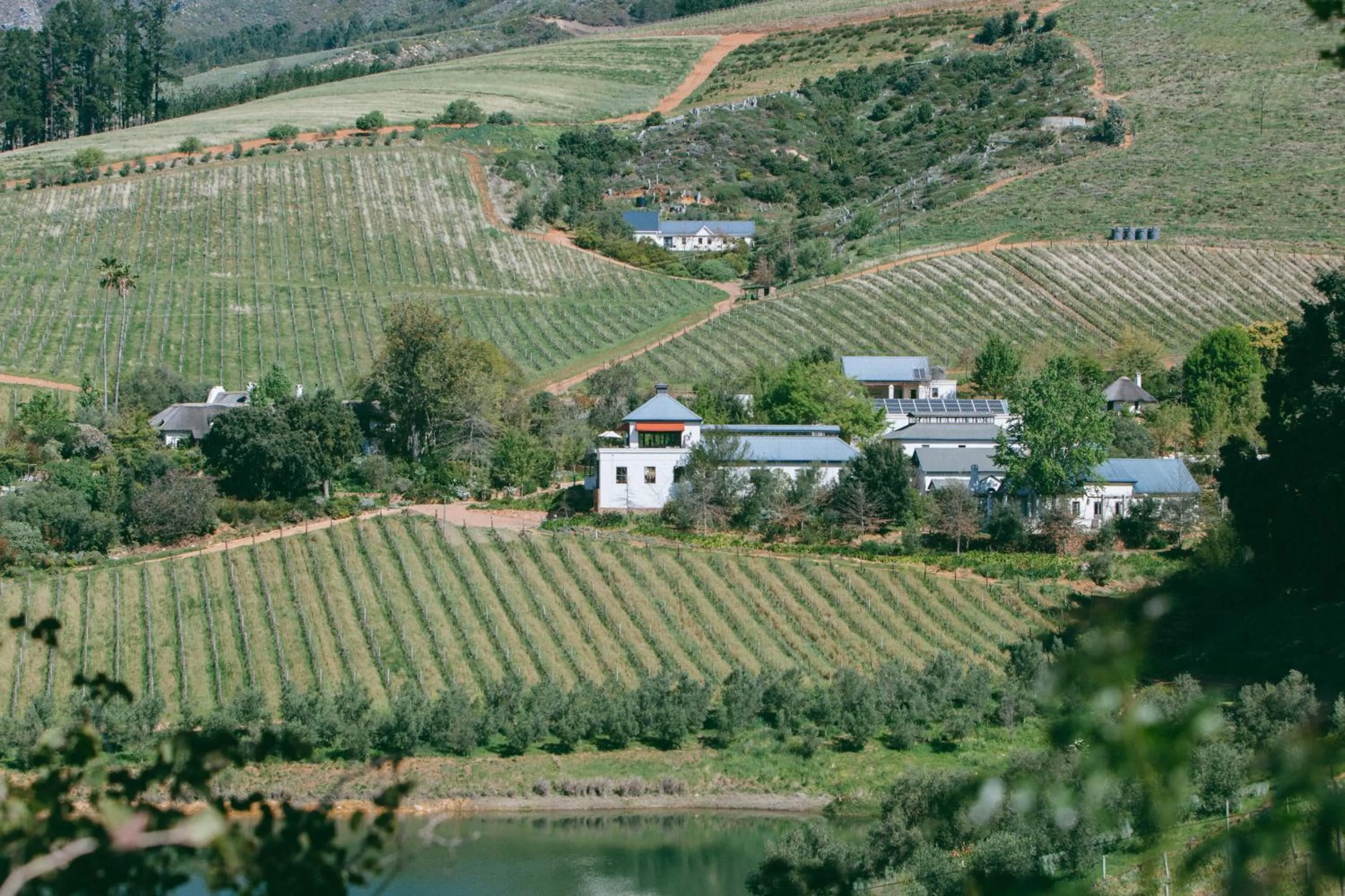 Bartinney Private Cellar Banhoek