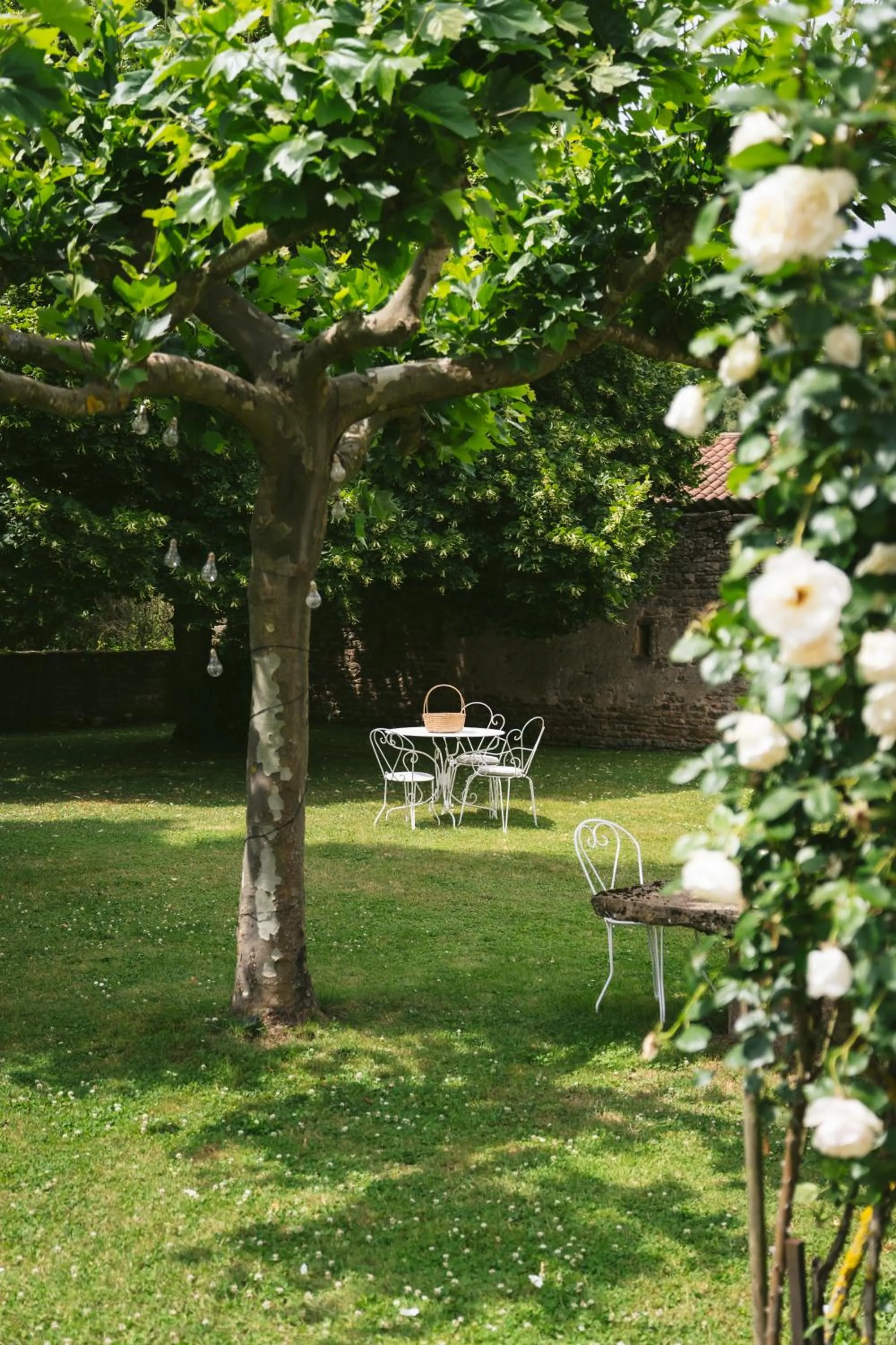 Garden in Tomette Singulière