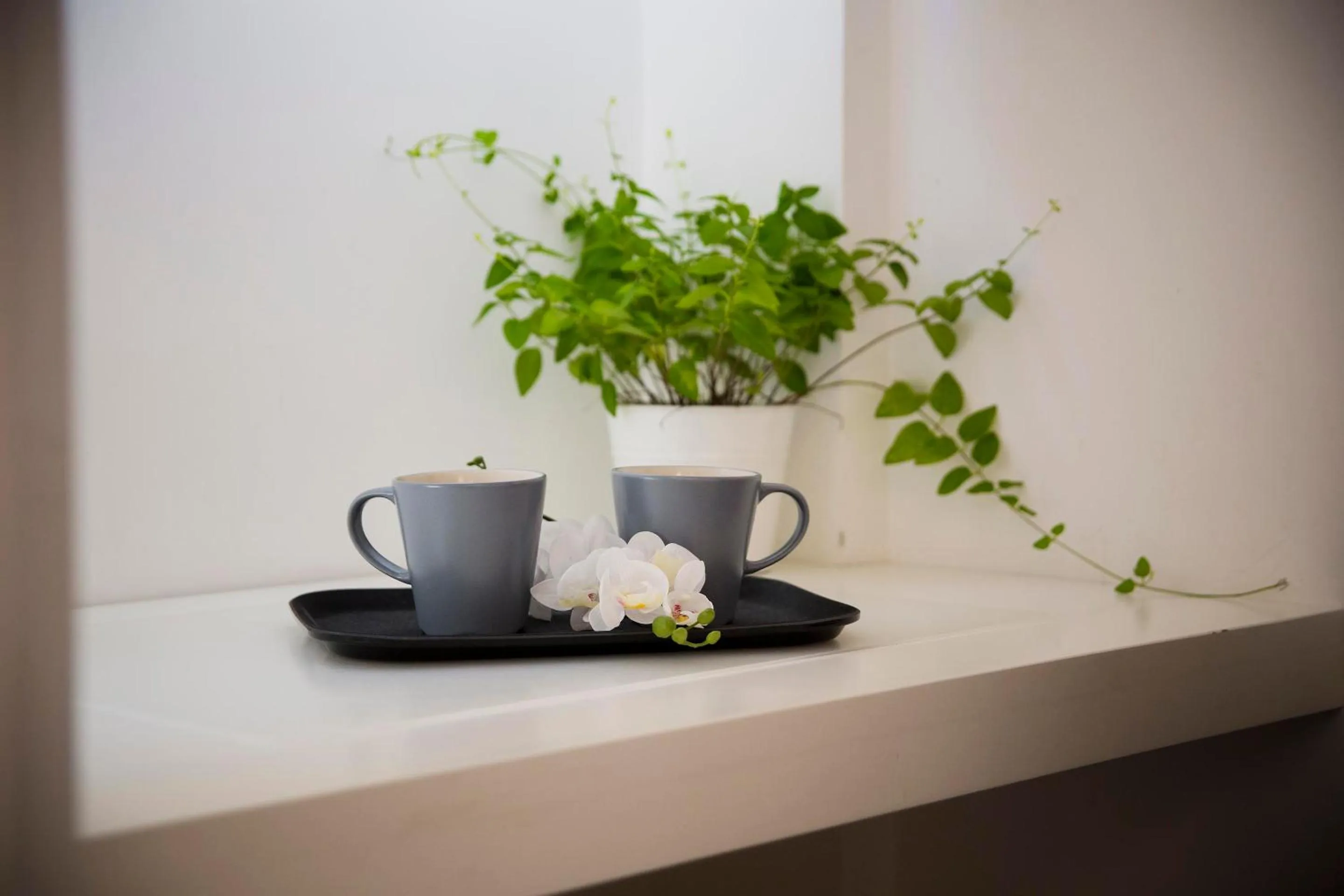 Coffee/tea facilities in Dulcis In Vatican b&b