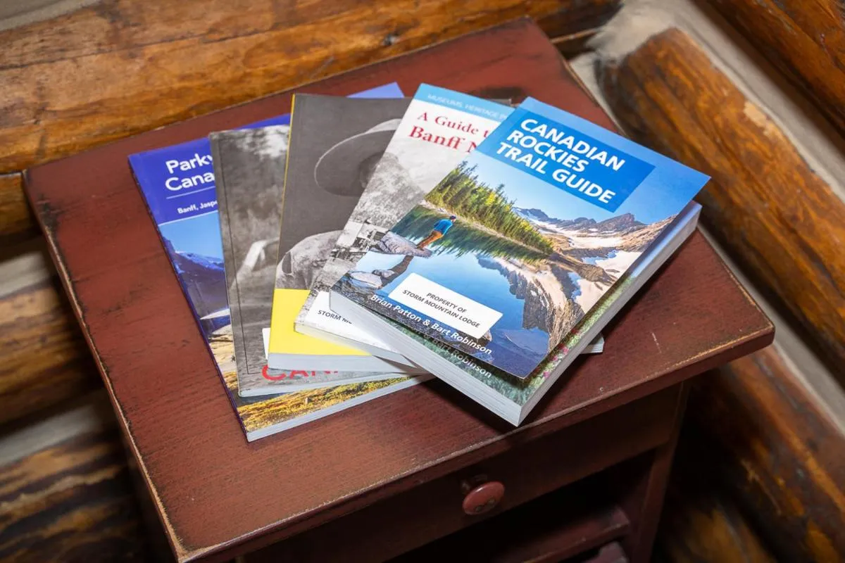Library in Storm Mountain Lodge & Cabins