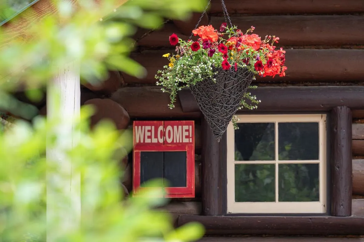 Property building in Storm Mountain Lodge & Cabins