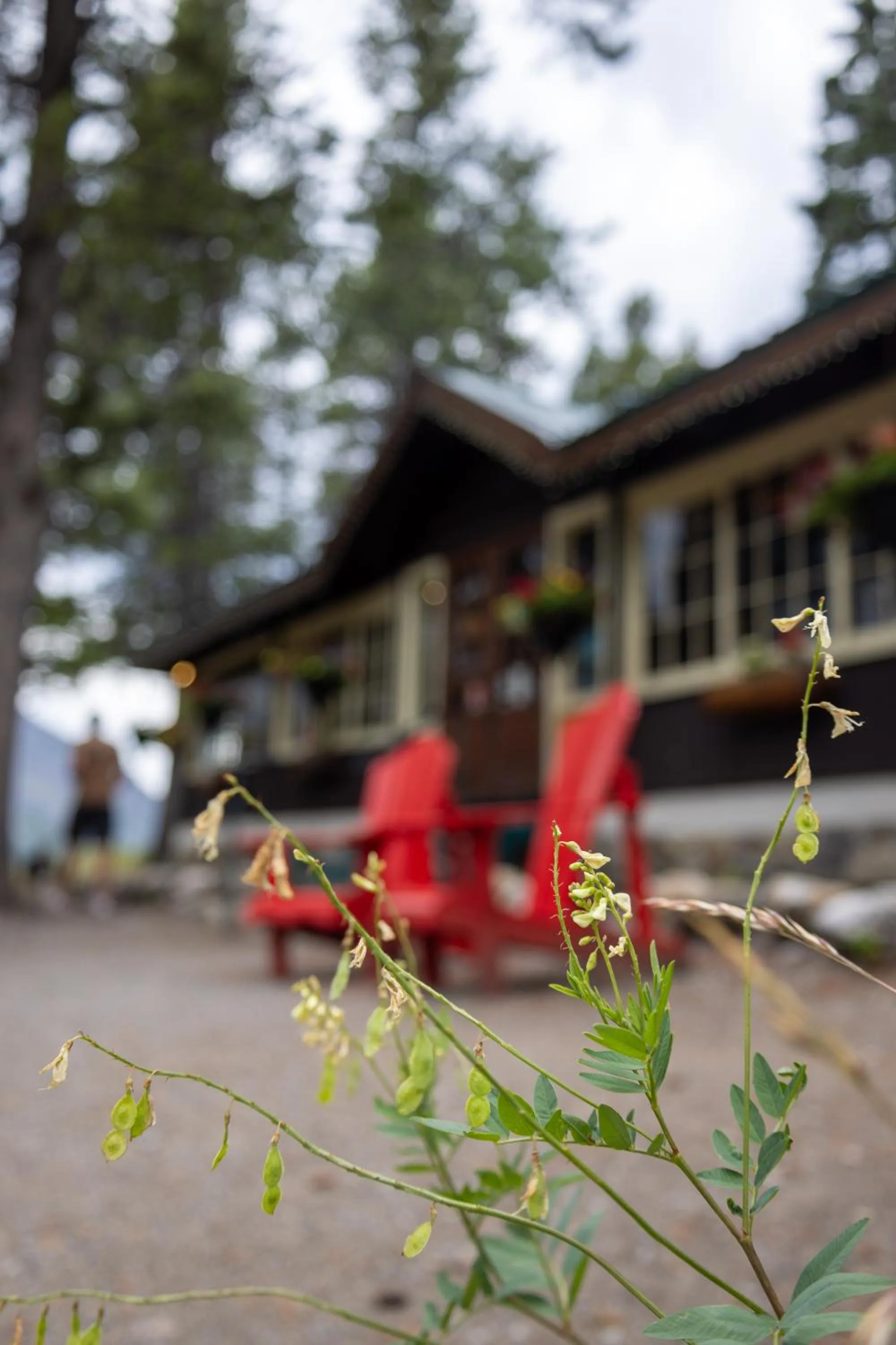 Decorative detail in Storm Mountain Lodge & Cabins