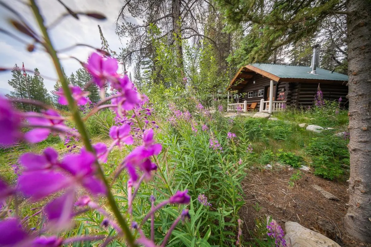 Property building in Storm Mountain Lodge & Cabins
