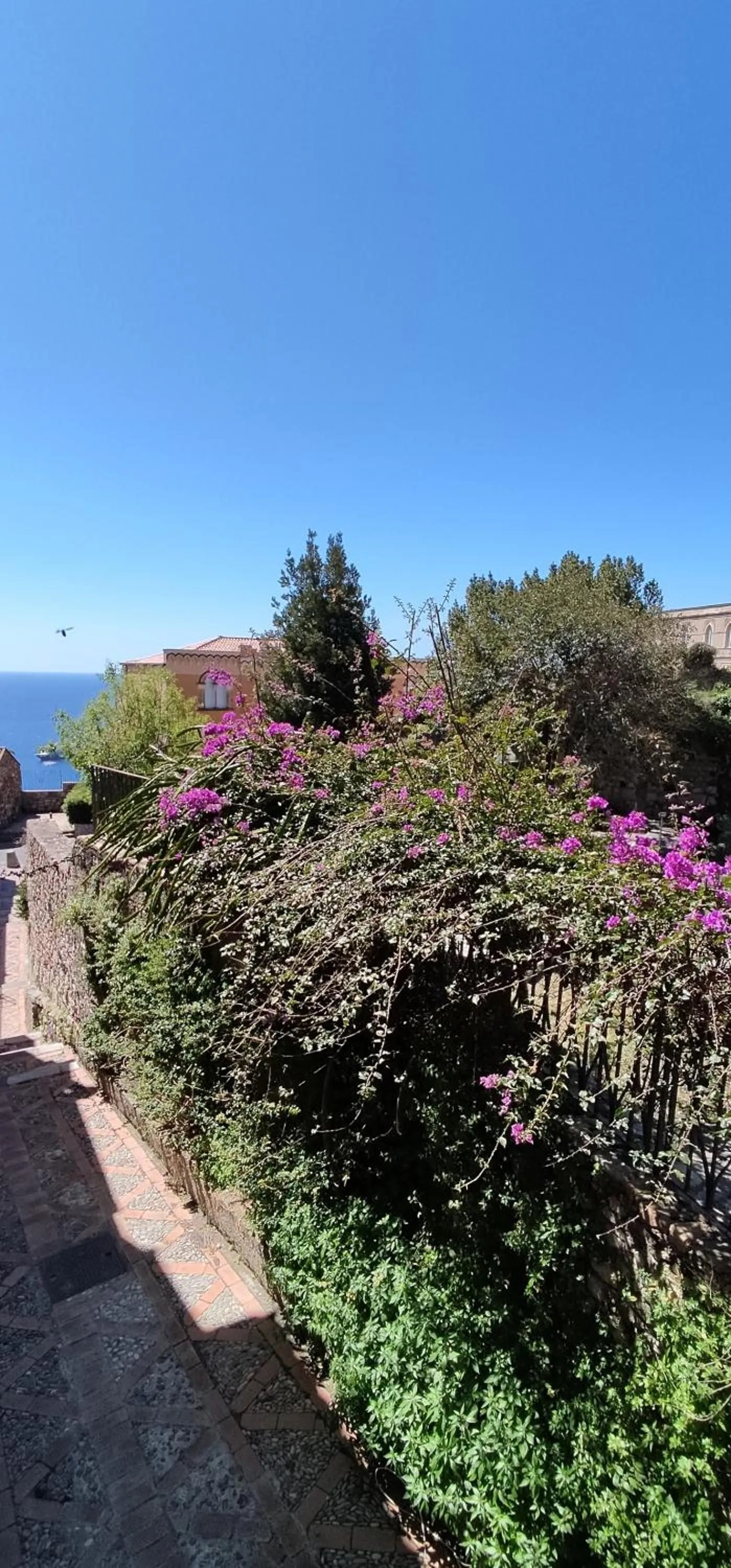 Garden view in B&B AKROPOLIS