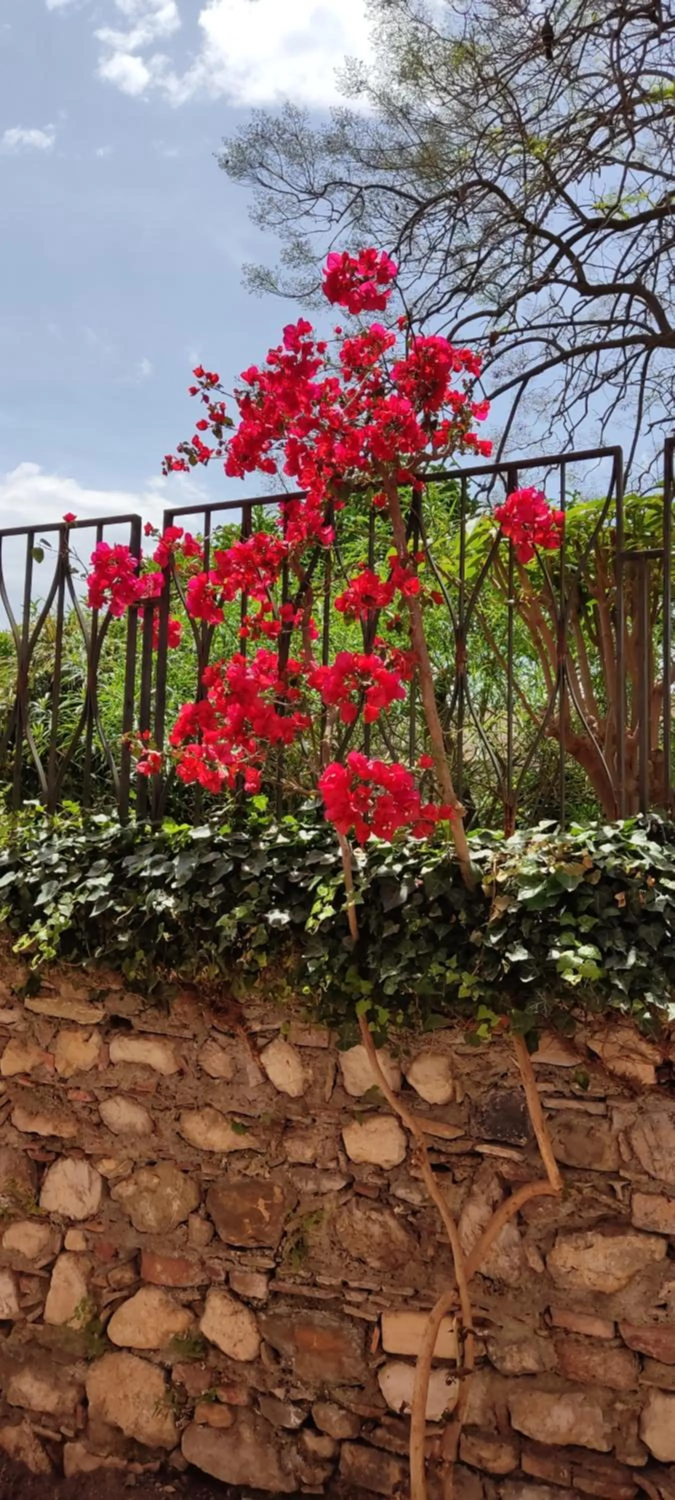 Other in B&B AKROPOLIS