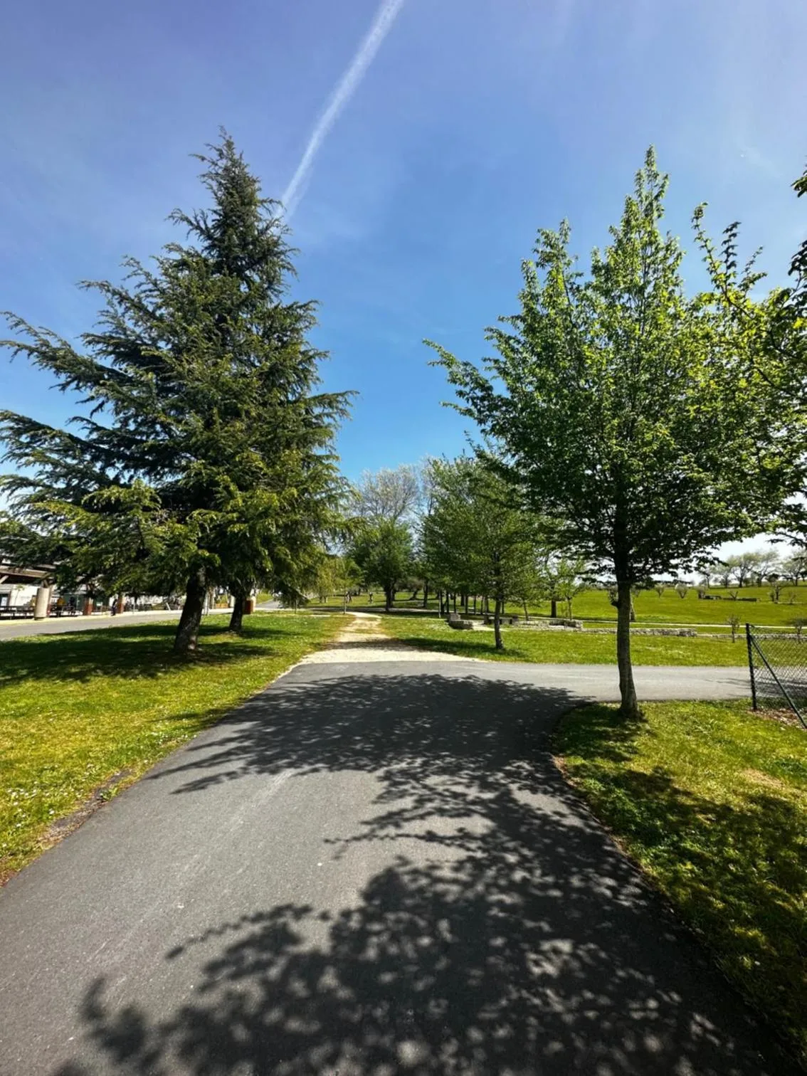 Spring in Albergue Monte Do Gozo