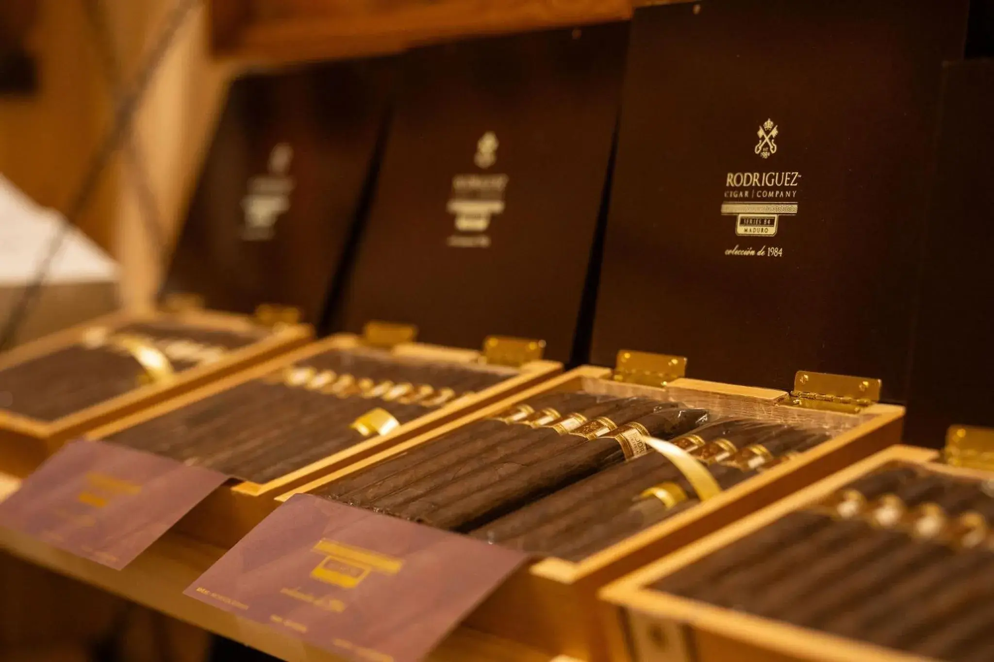 Lounge or bar in Havana Cabana at Key West Lounge or bar in Havana Cabana at Key West